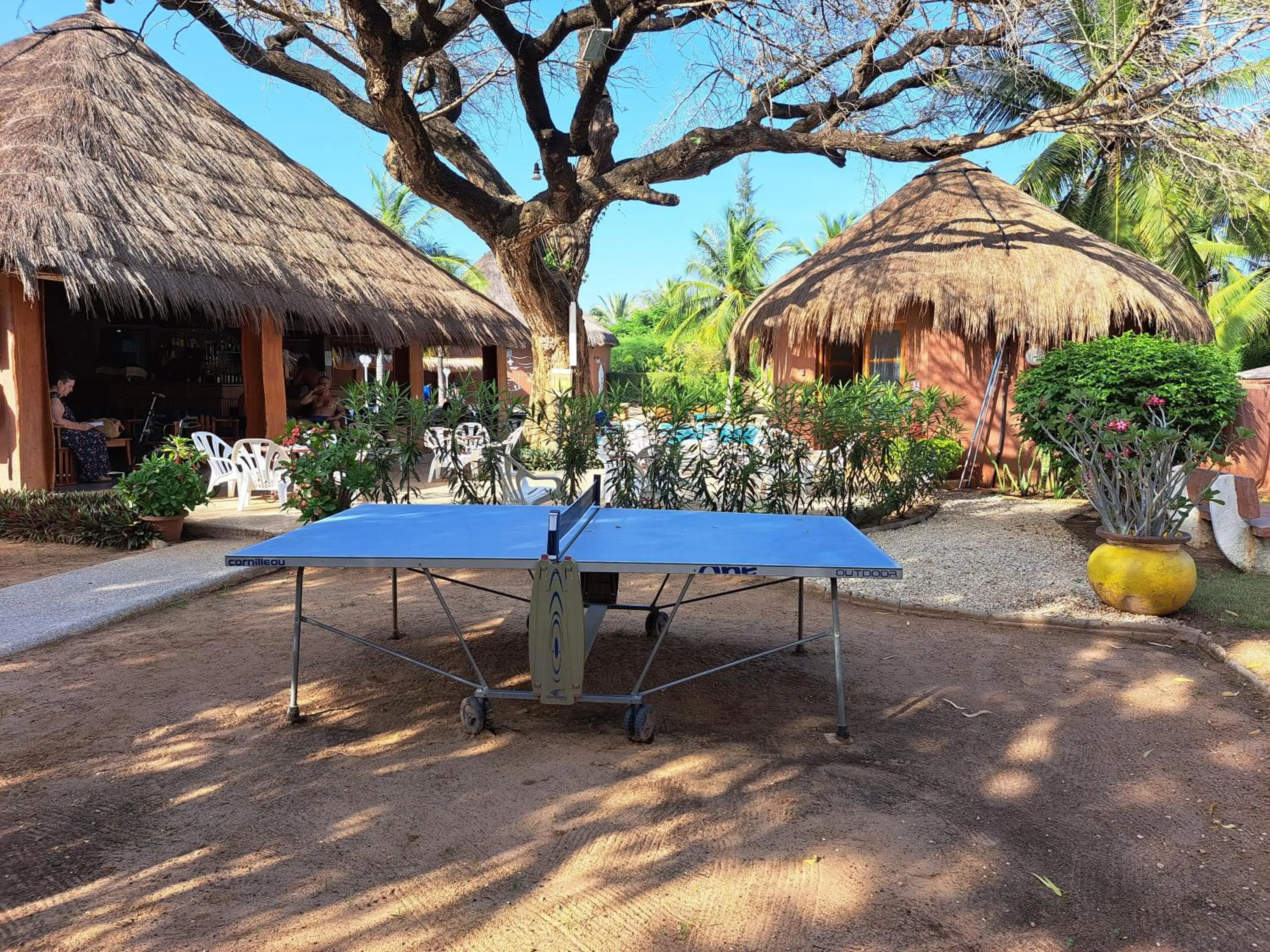 Table tennis in Neptune