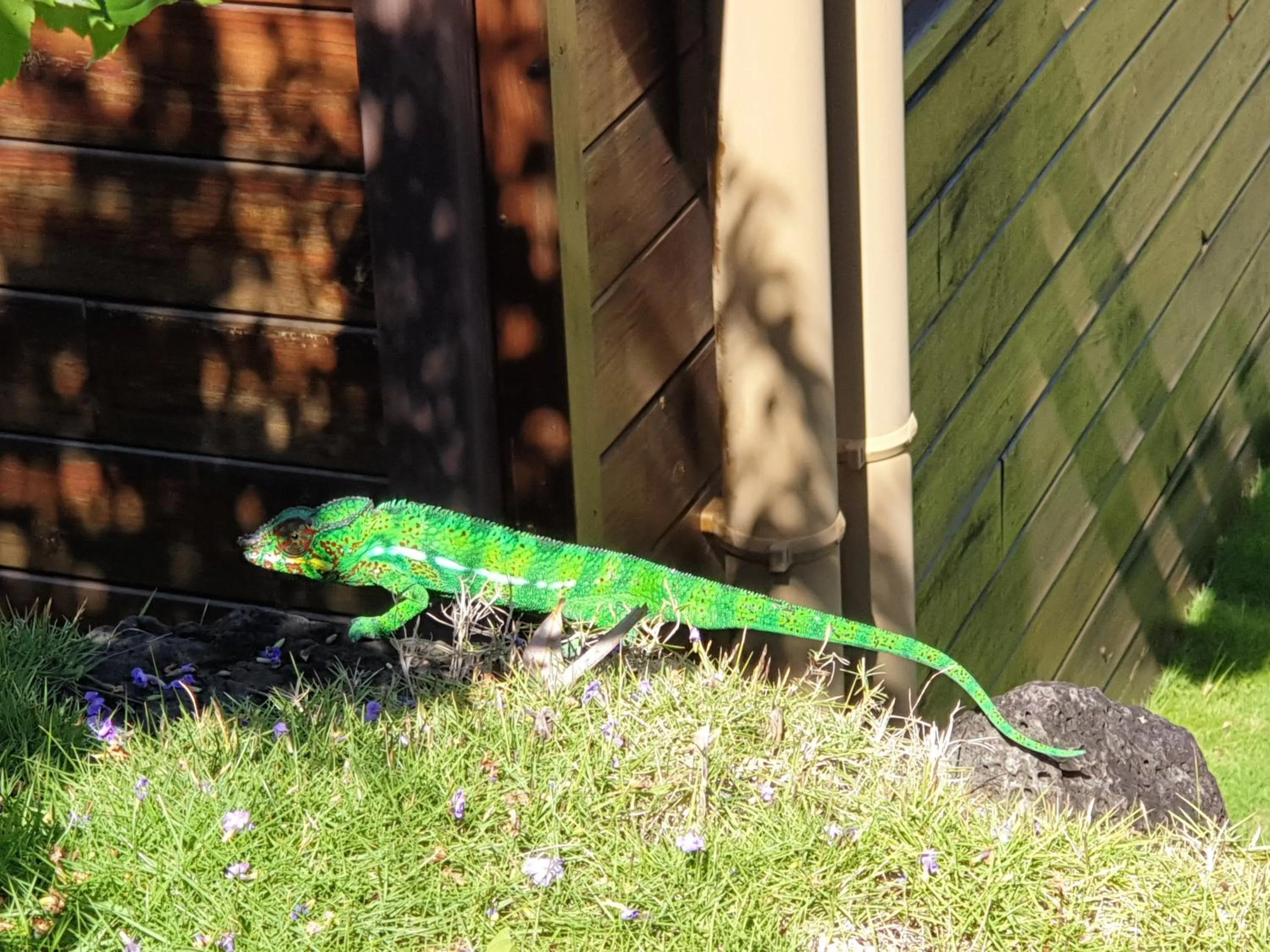 Garden in Les Coeurs d'Amants