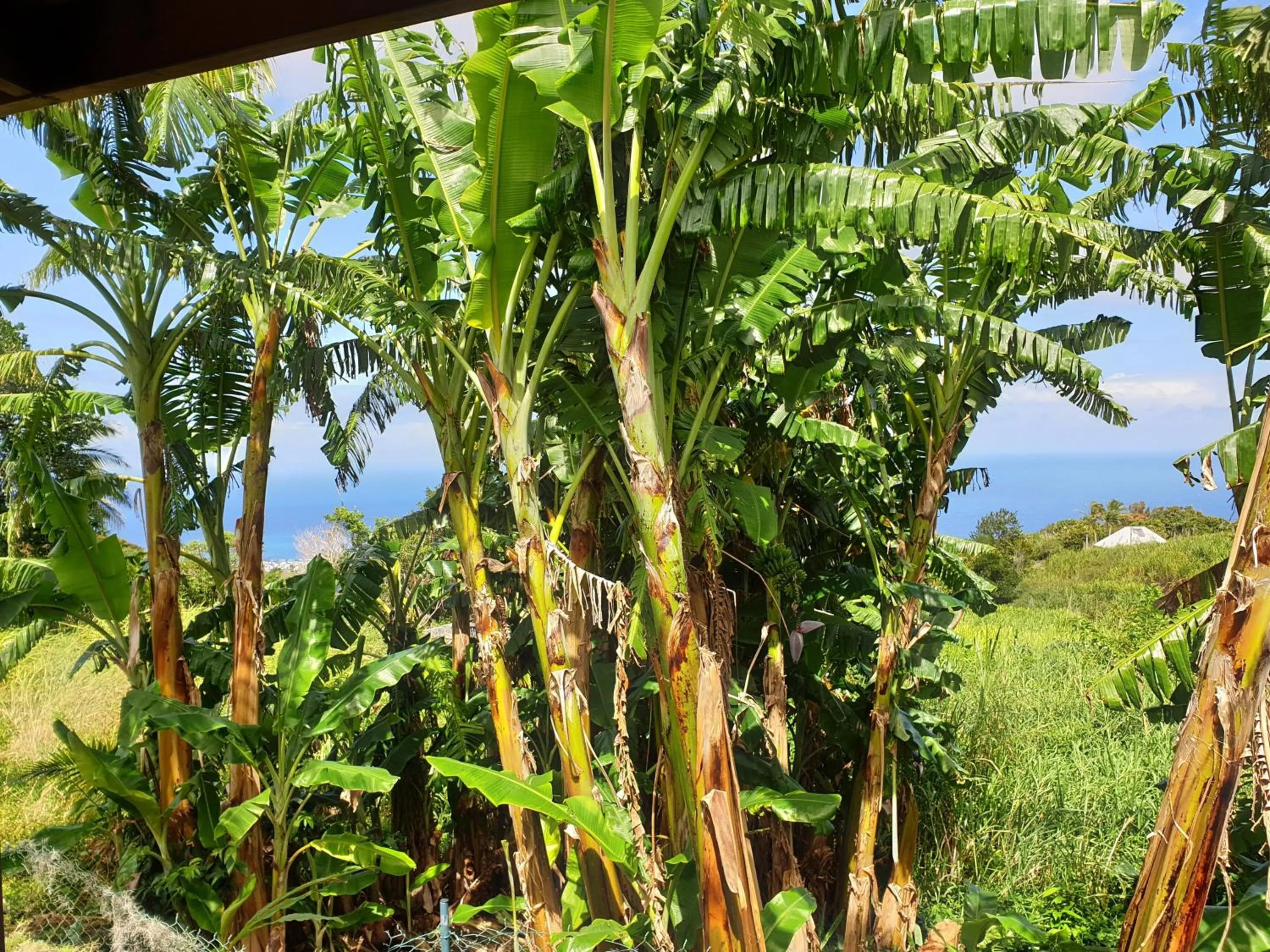 Day in Les Coeurs d'Amants