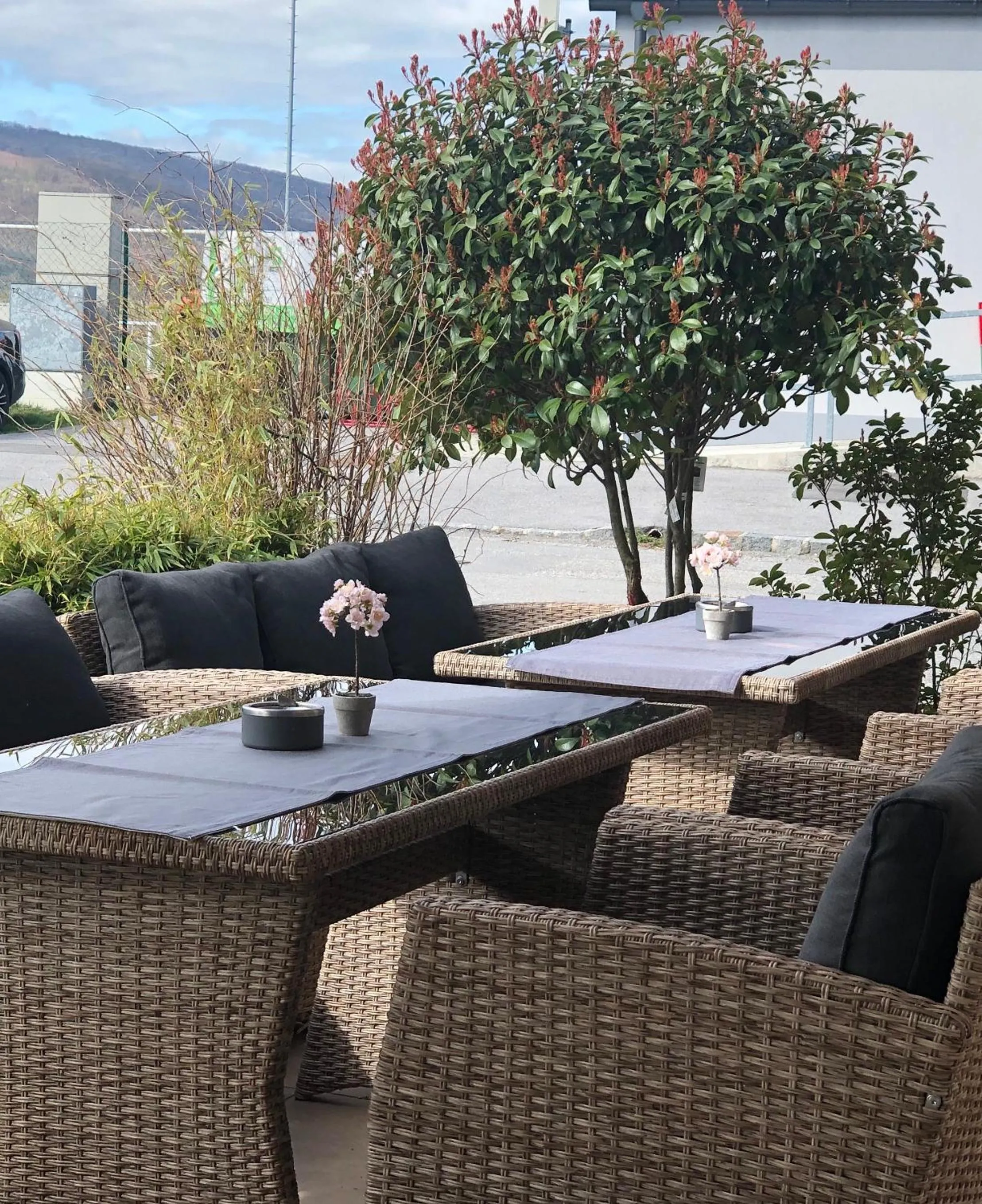 Garden in Hotel Restaurant FIDI