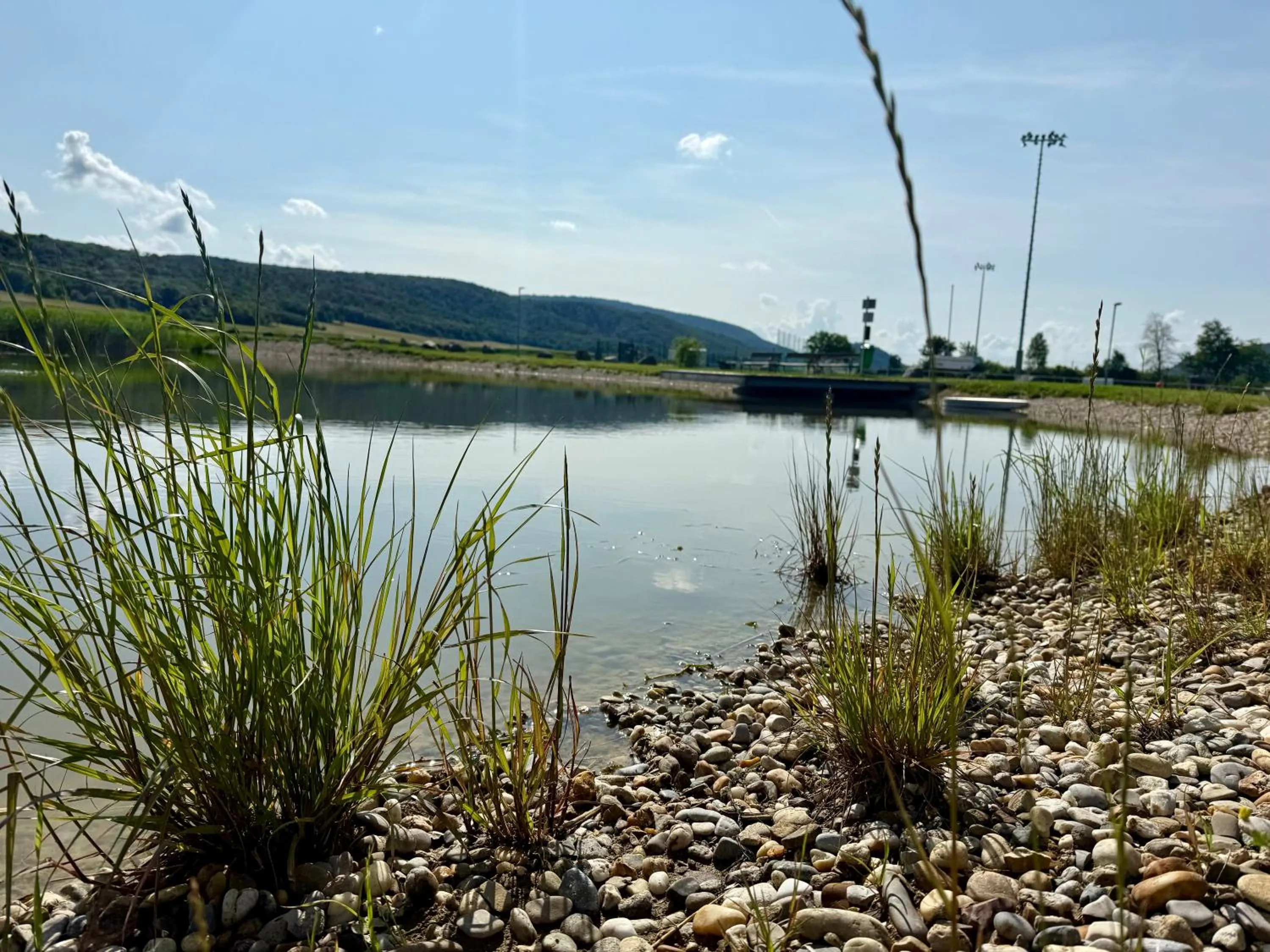 Garden in Hotel Restaurant FIDI