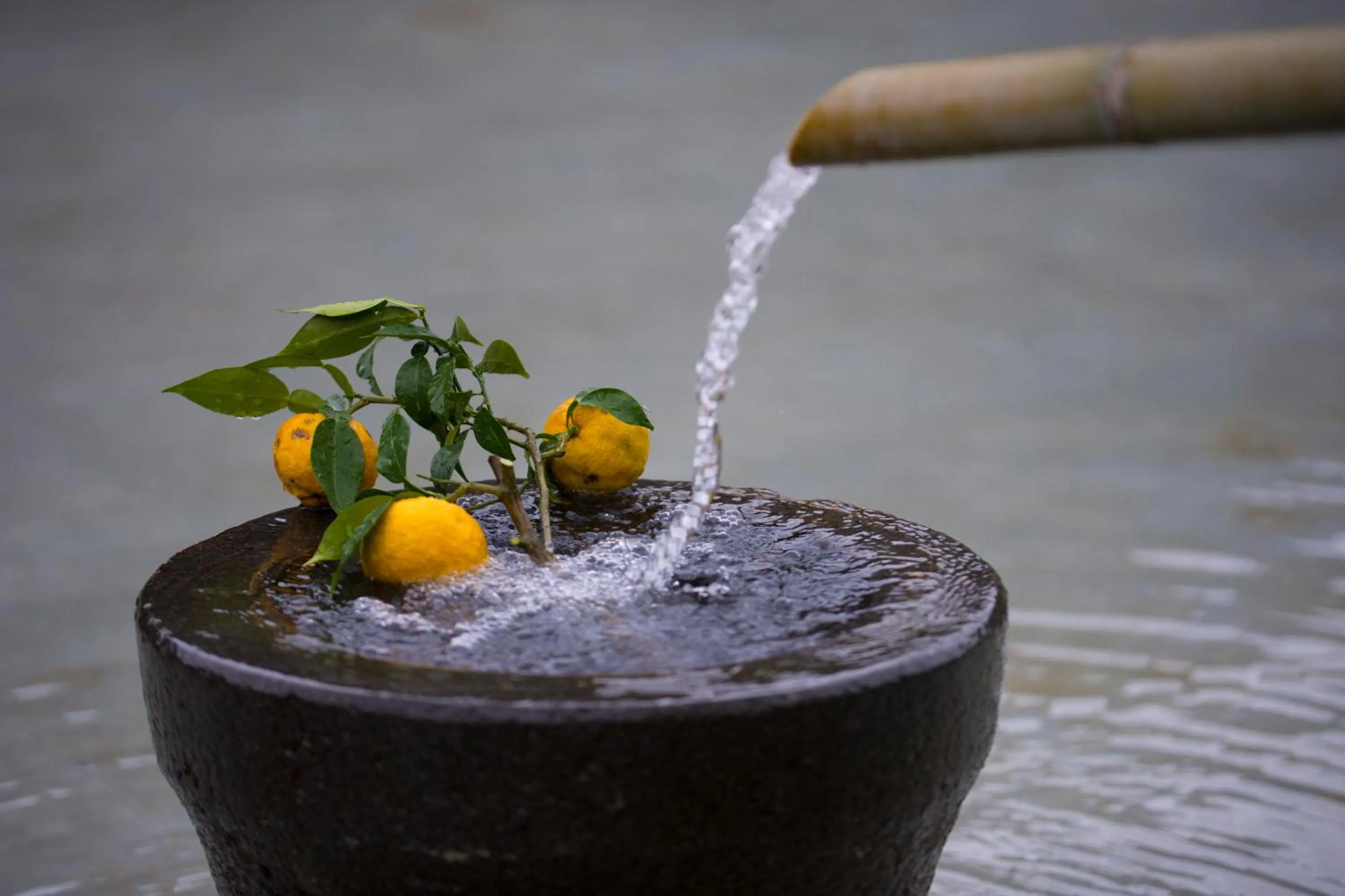 Garden in Bettei Himawari