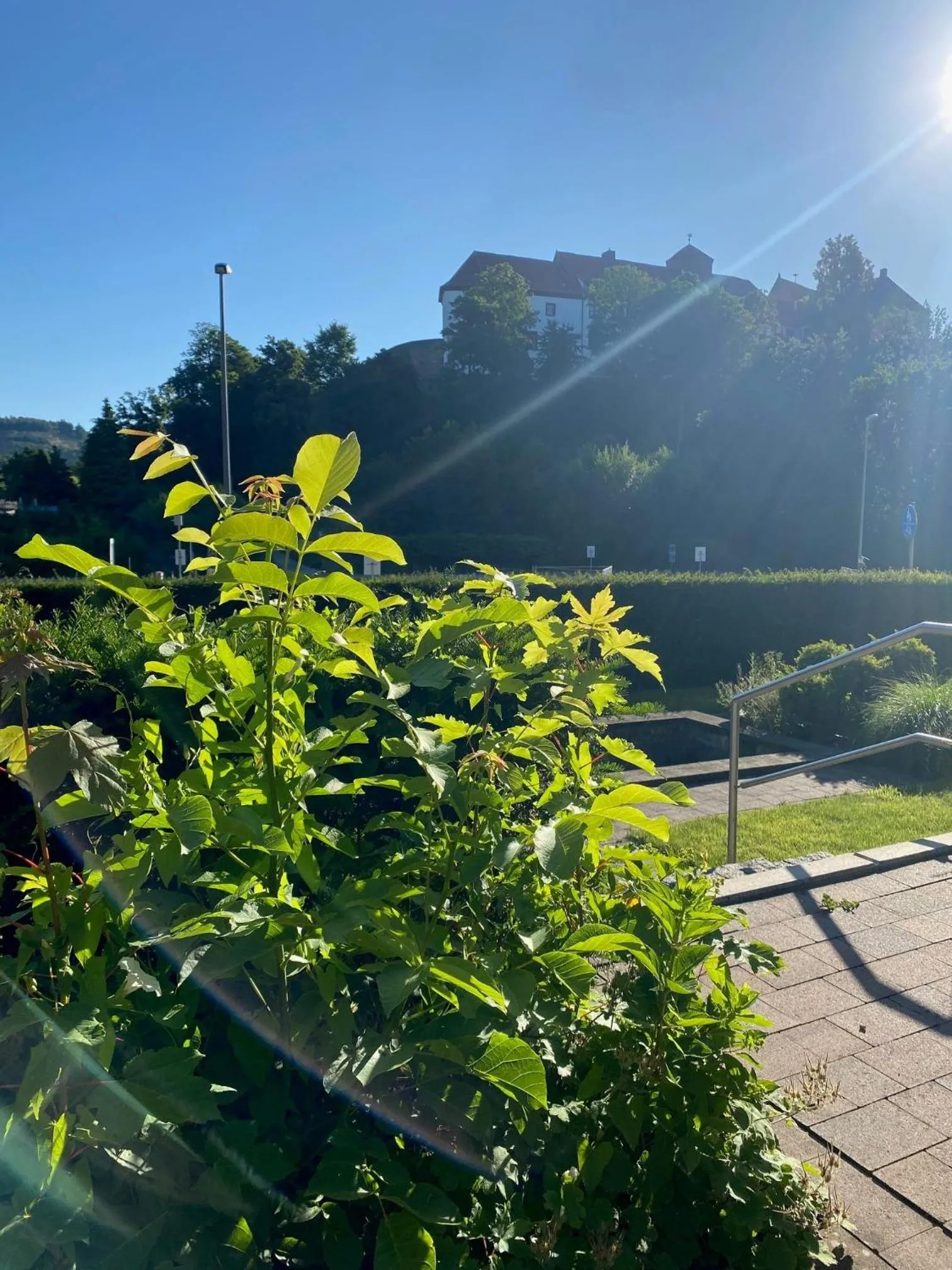 Nearby landmark in Waldhotel Felsenkeller