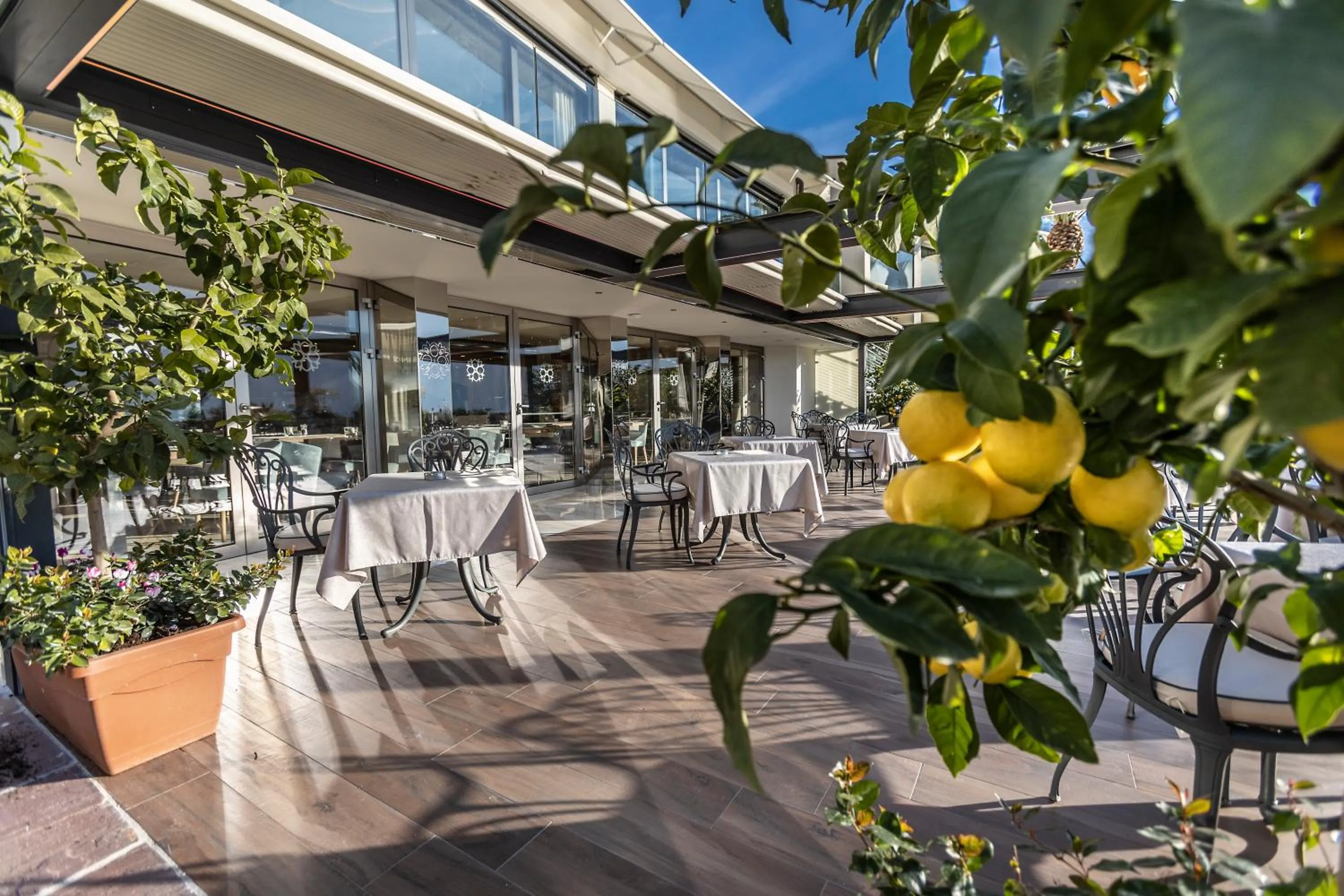 Restaurant/places to eat in Park Hotel Imperial