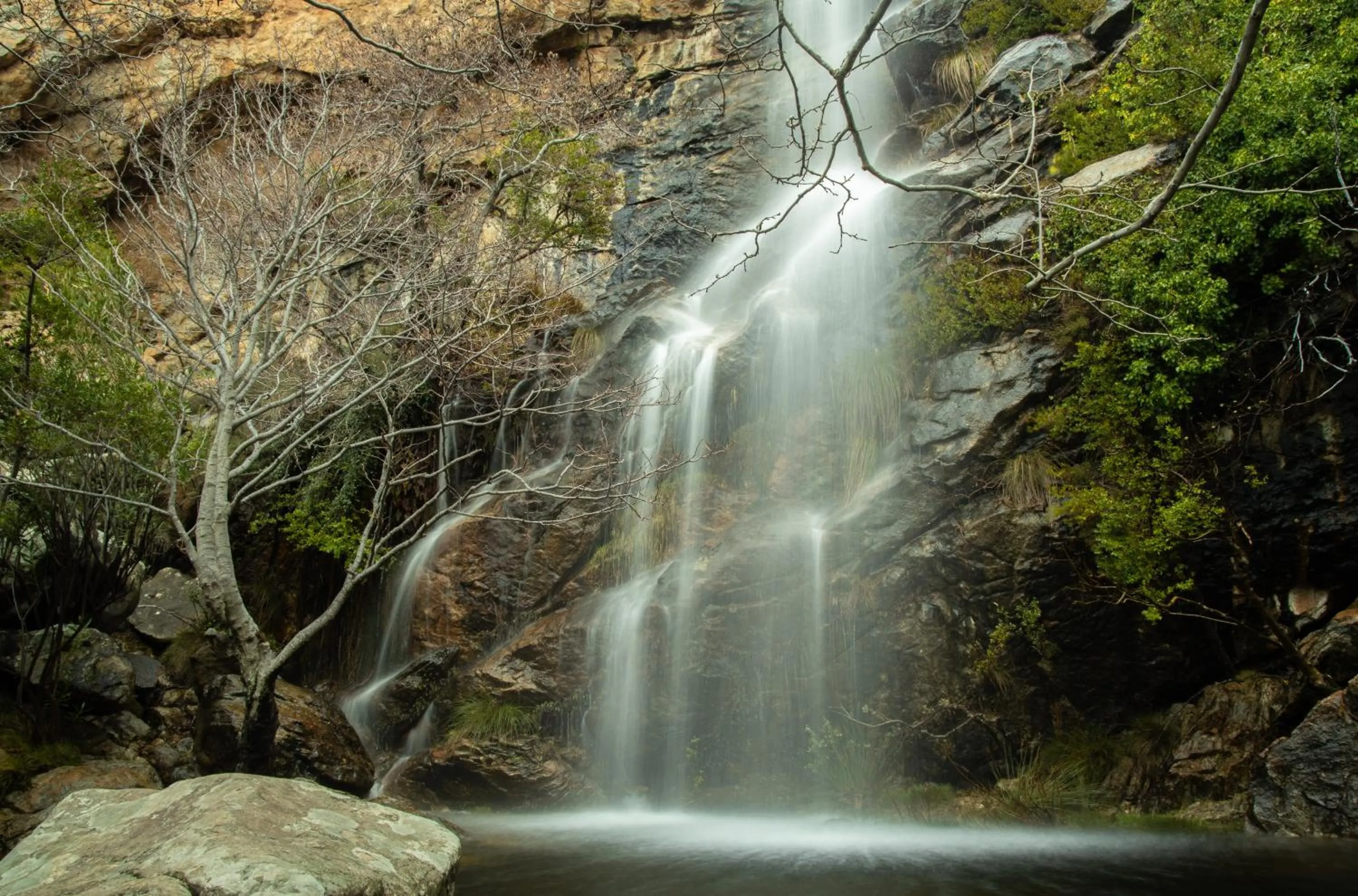 Nearby landmark in Hotel Villa Flora
