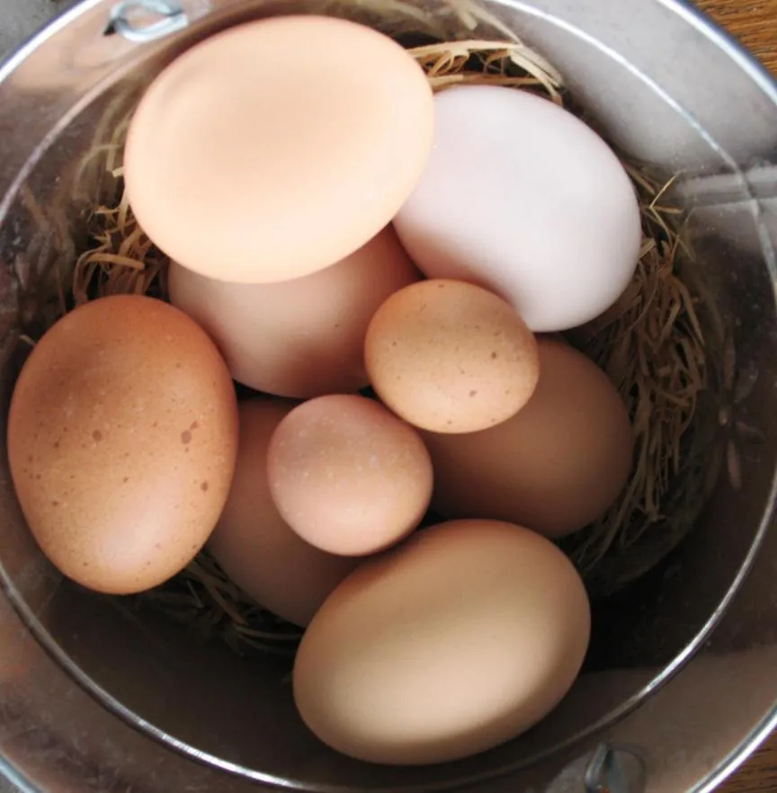 Food close-up in Riverboat Bed & Breakfast