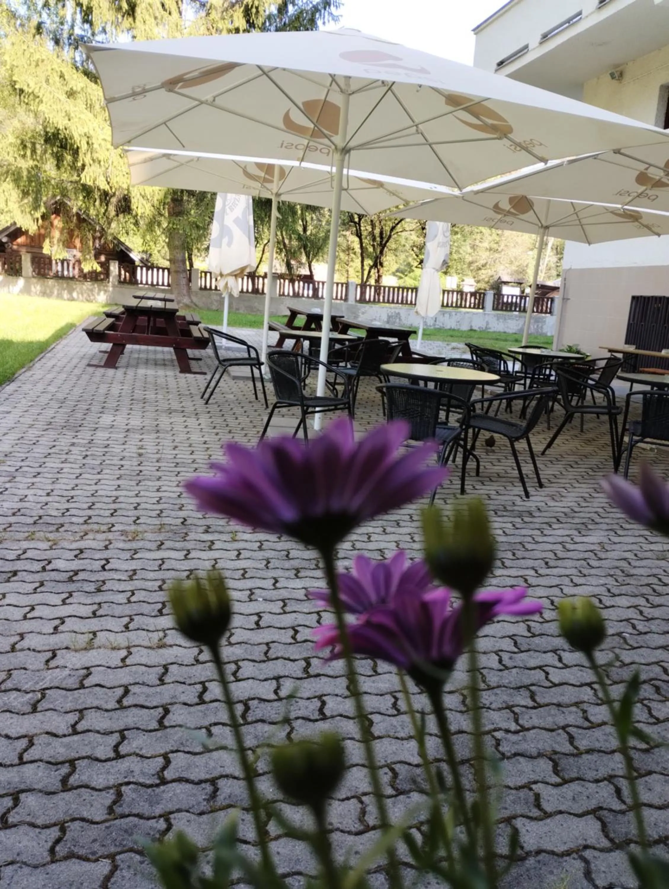 Spring in Hotel SOREA ĎUMBIER