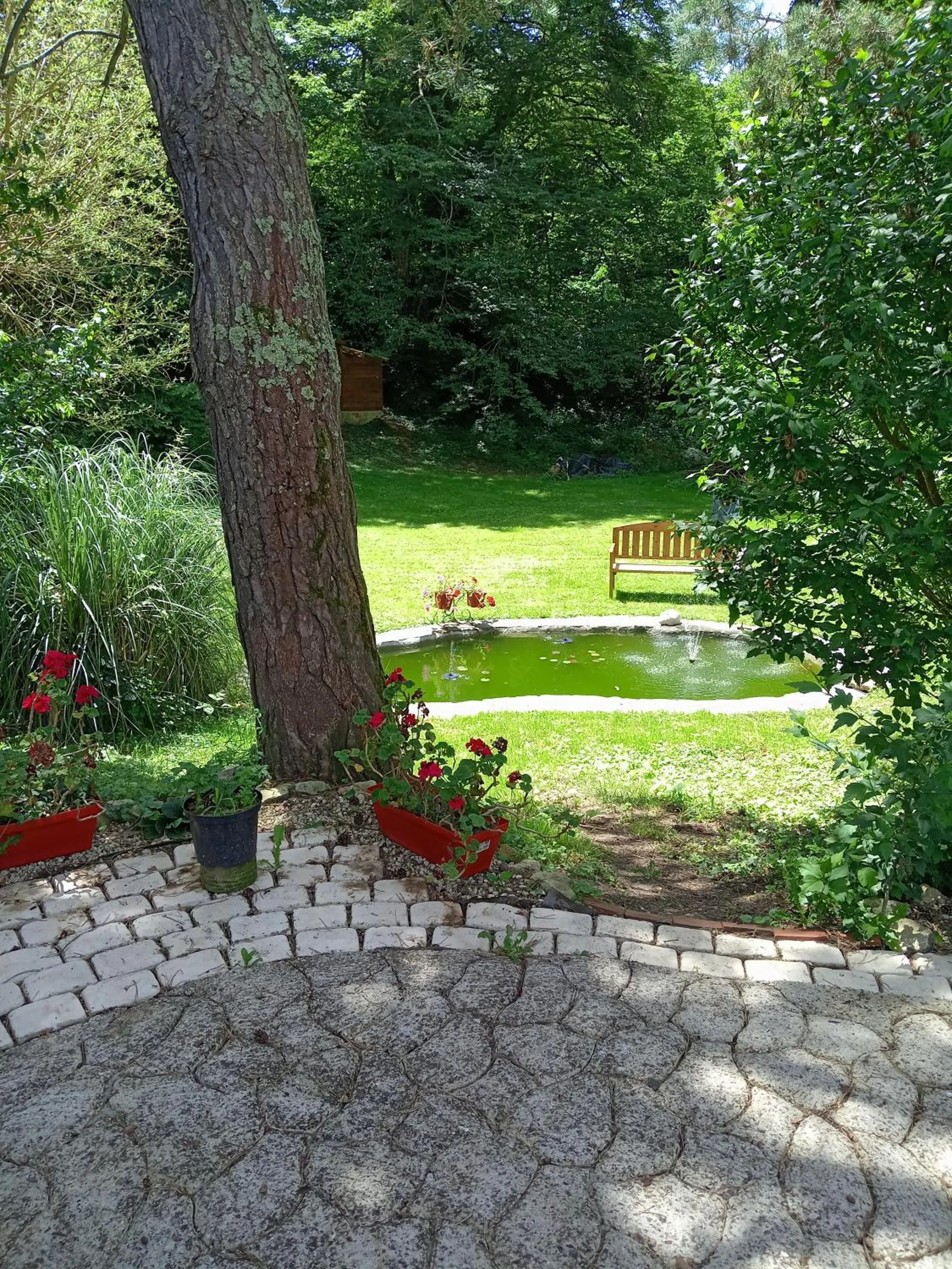 Spring in Chambres d'hotes du Moulin