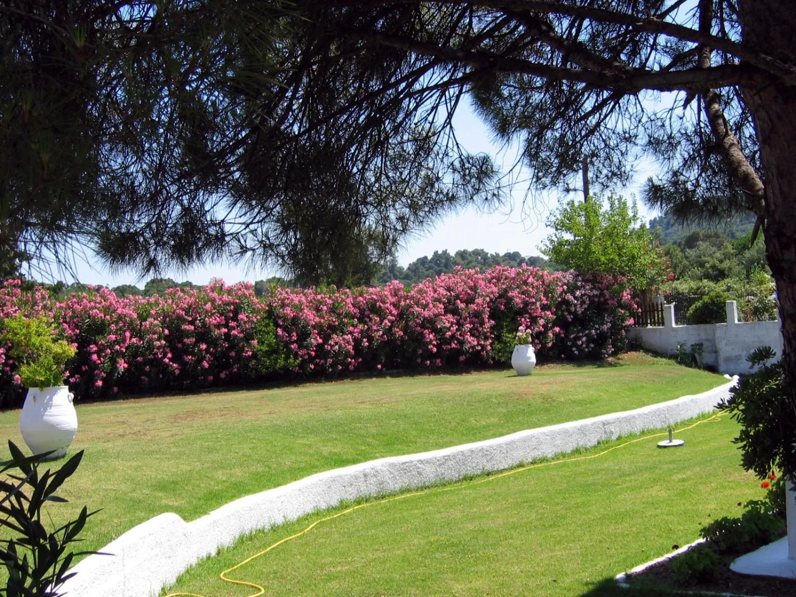Garden in Maistrali Studios Skiathos