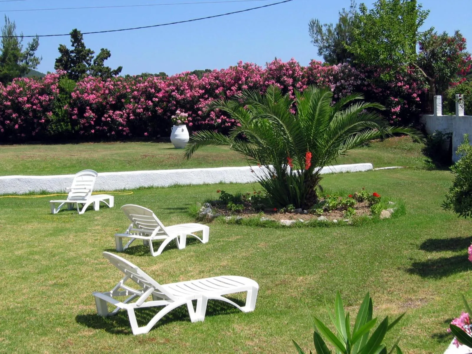 Garden in Maistrali Studios Skiathos