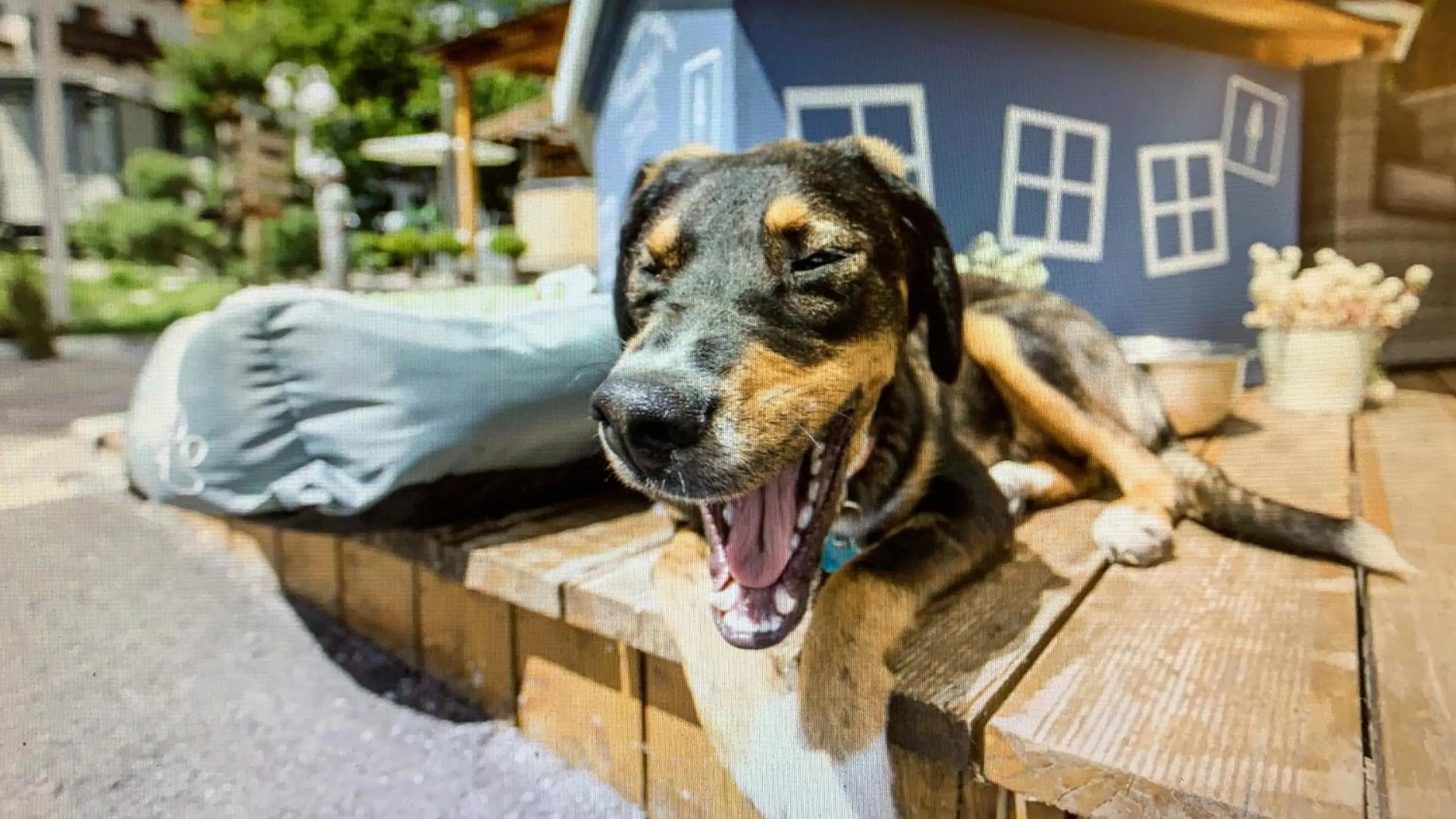 ALPENHOTEL TYROL - B&B - ADULTS ONLY - Alpines Lifestylehotel - BIO & Nachhaltig