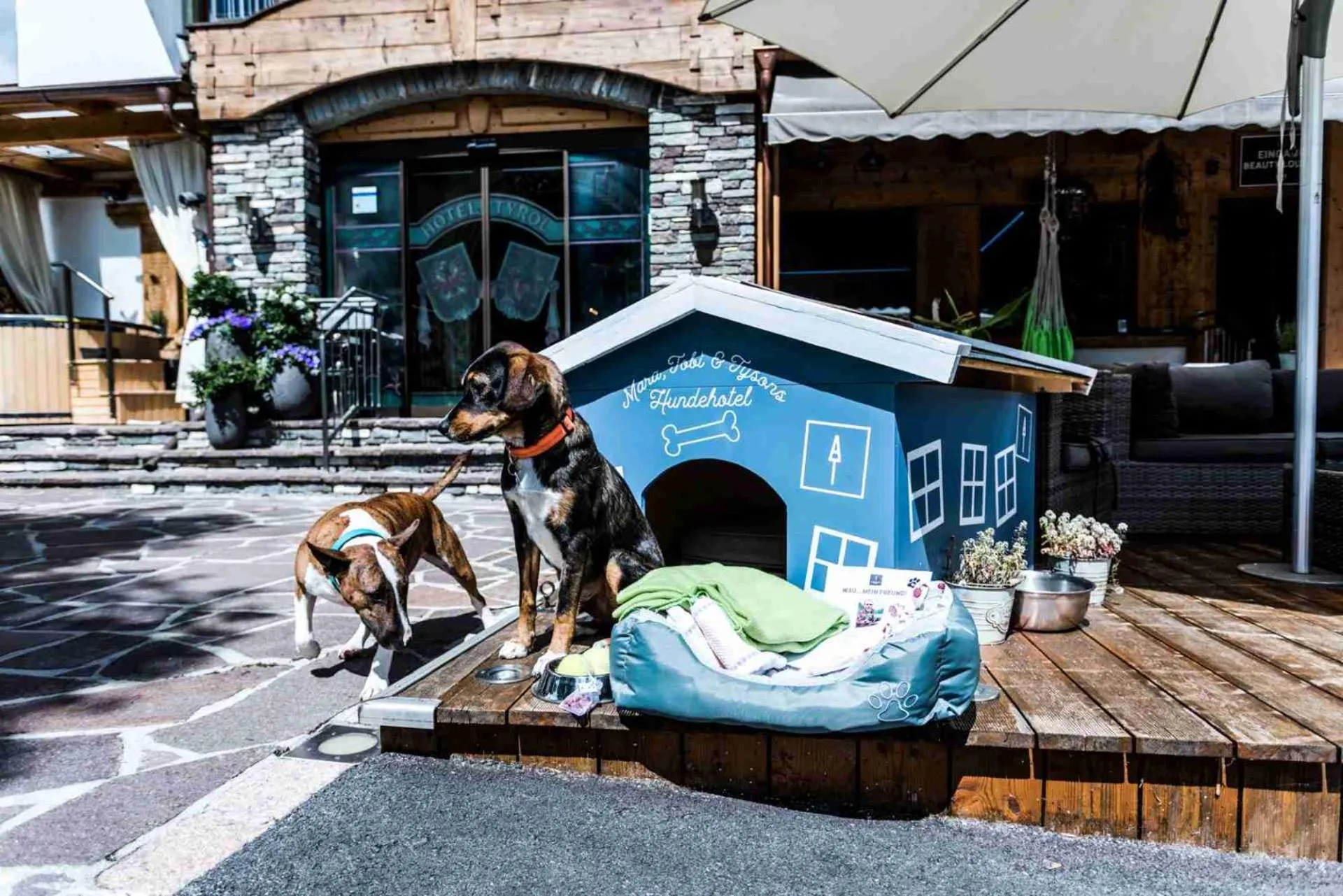 Day in ALPENHOTEL TYROL - B&B - ADULTS ONLY - Alpines Lifestylehotel - BIO & Nachhaltig