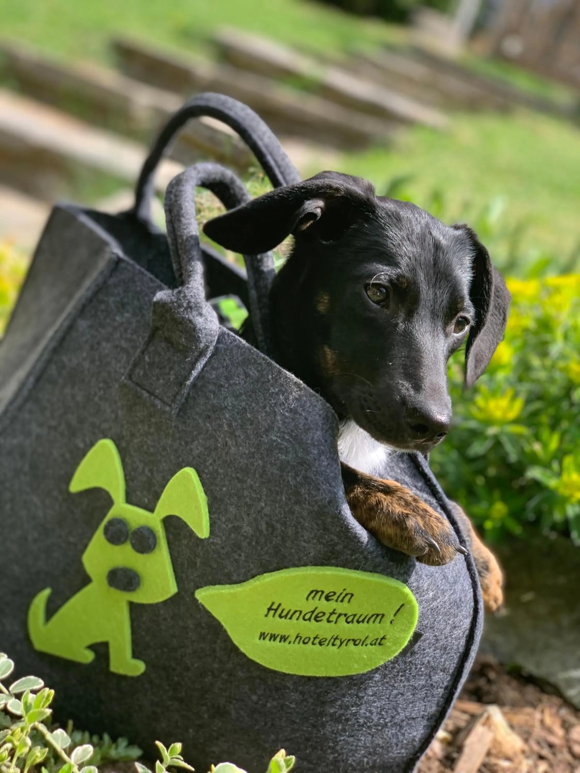 ALPENHOTEL TYROL - B&B - ADULTS ONLY - Alpines Lifestylehotel - BIO & Nachhaltig