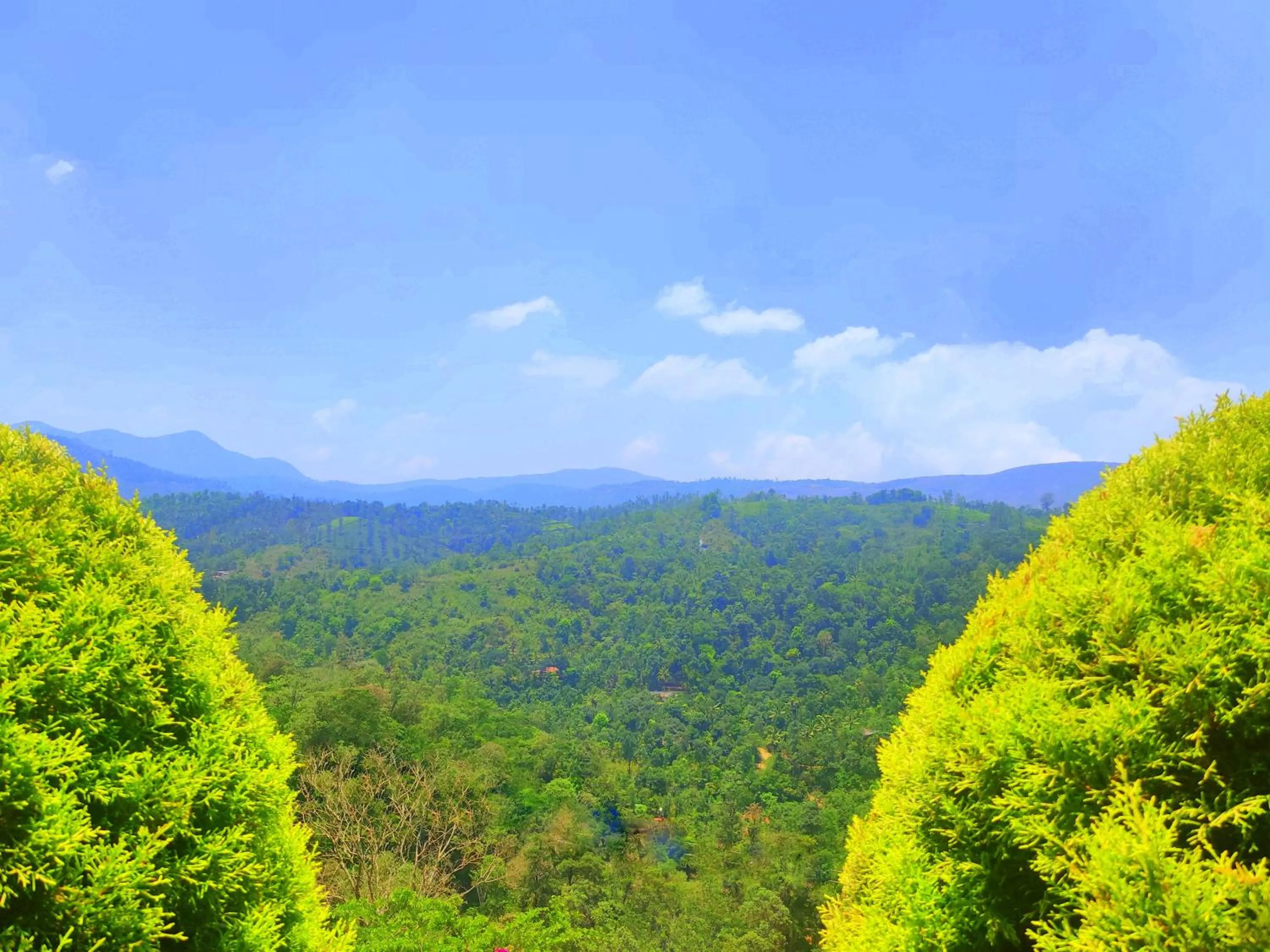 Activities in Theeram Agro Farm Hill Resort Vagamon