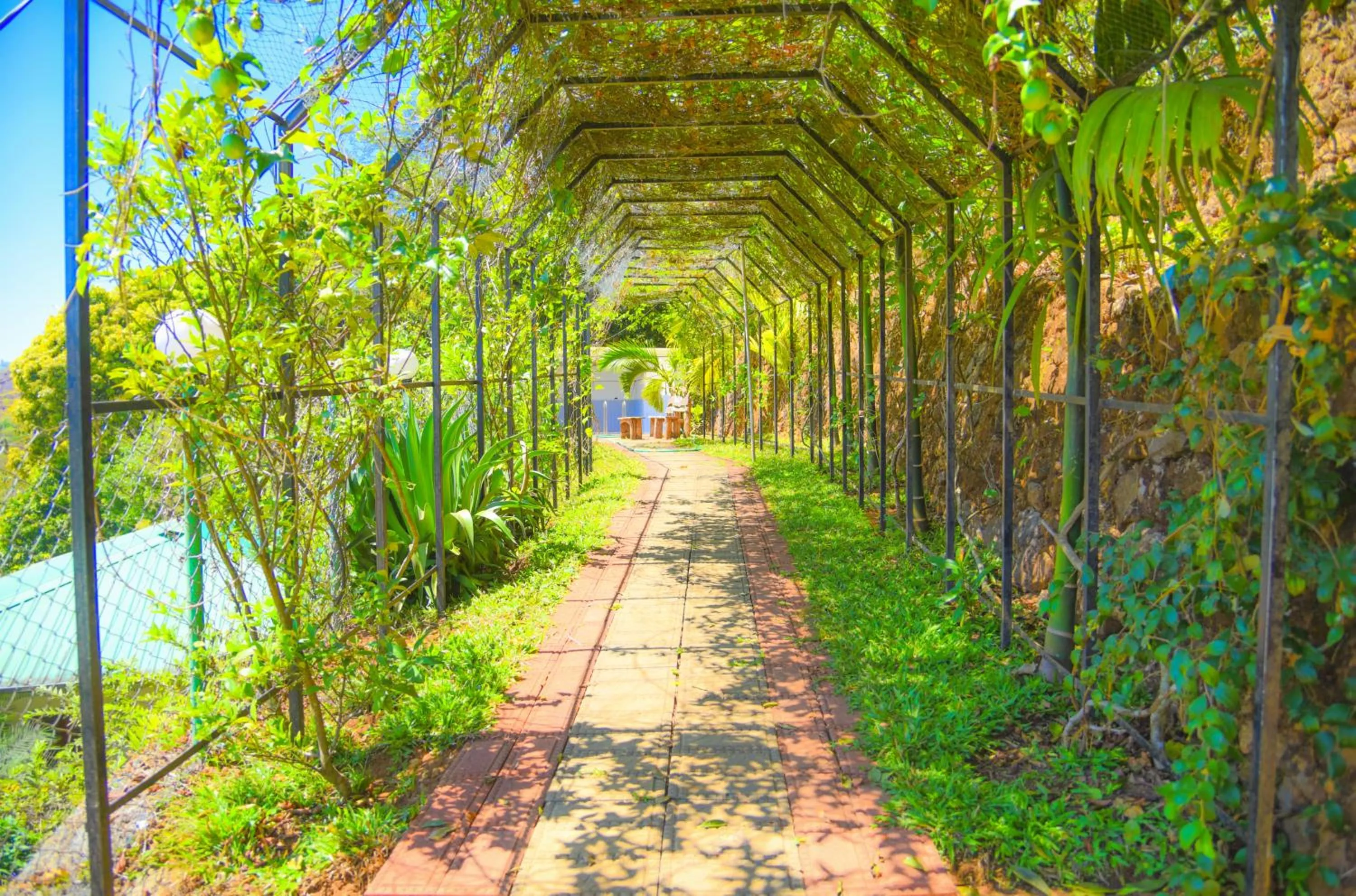 Activities in Theeram Agro Farm Hill Resort Vagamon