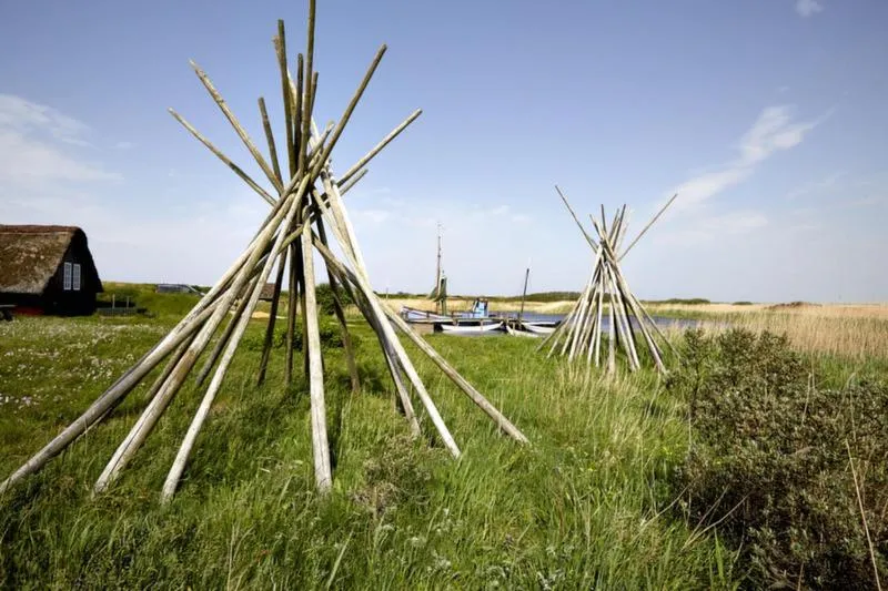 Natural landscape in Nymindegab Kro