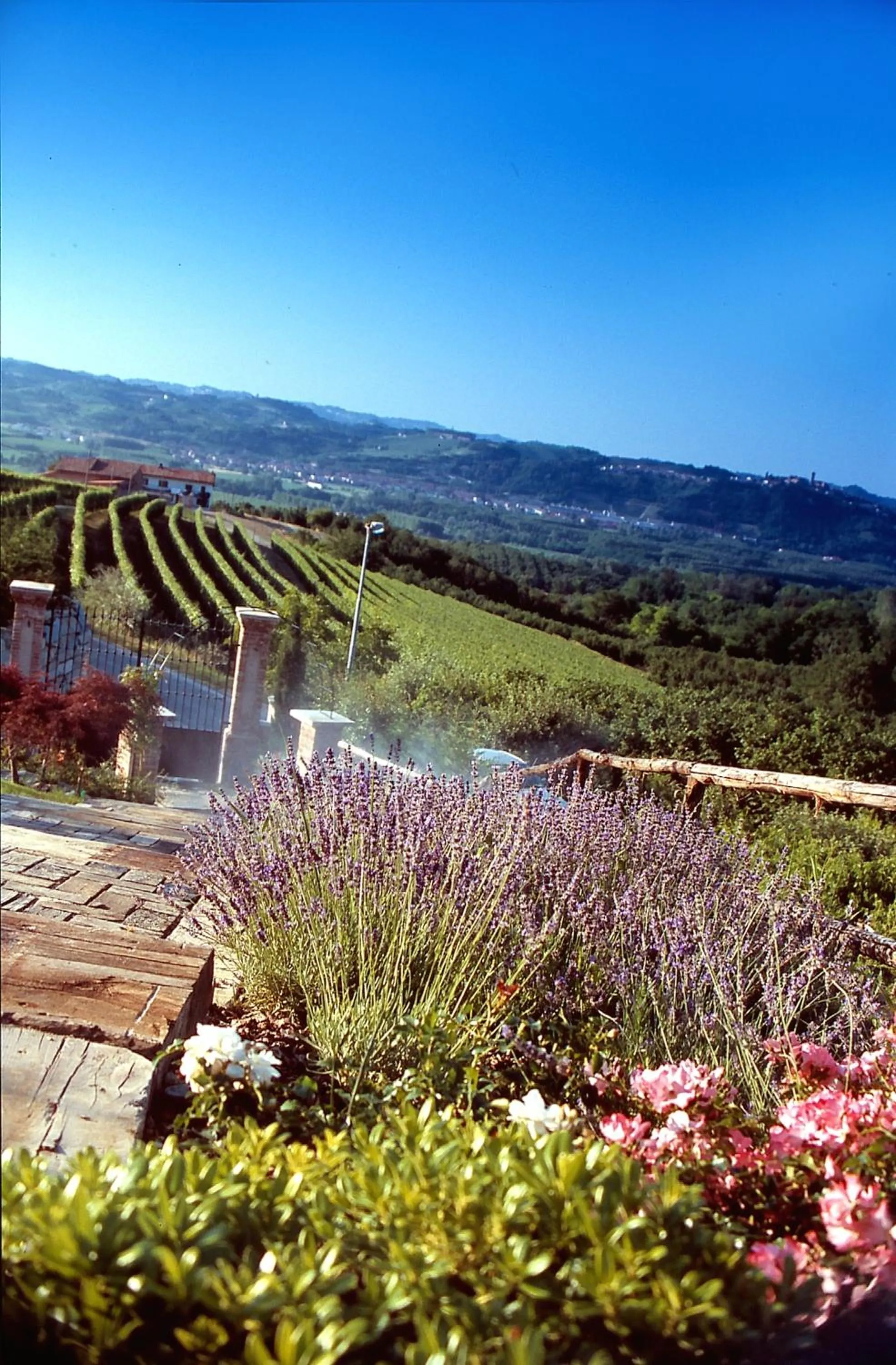 Natural landscape in Villa Bricco dei Cogni