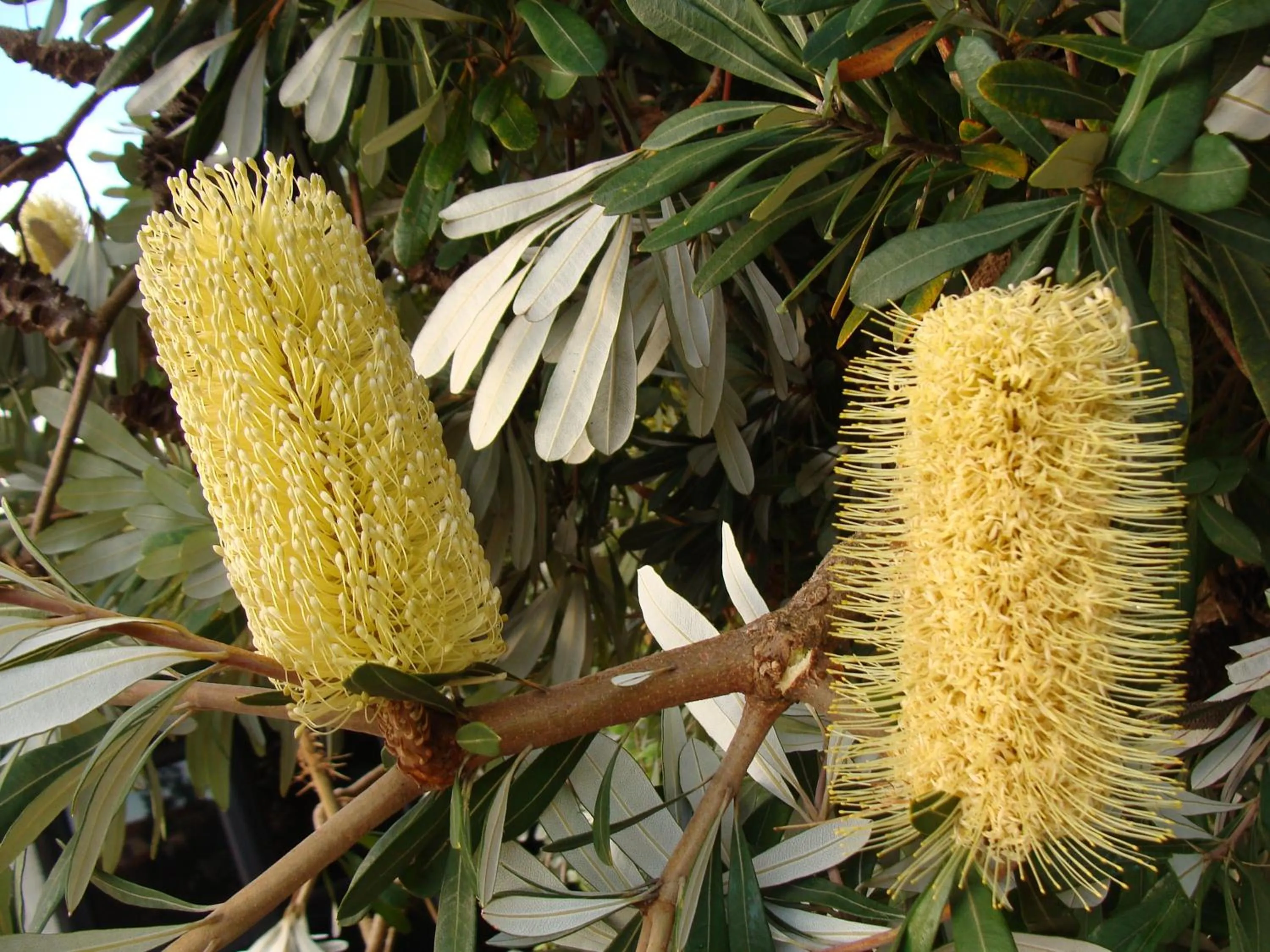 Facade/entrance in Hospedaria Verdemar