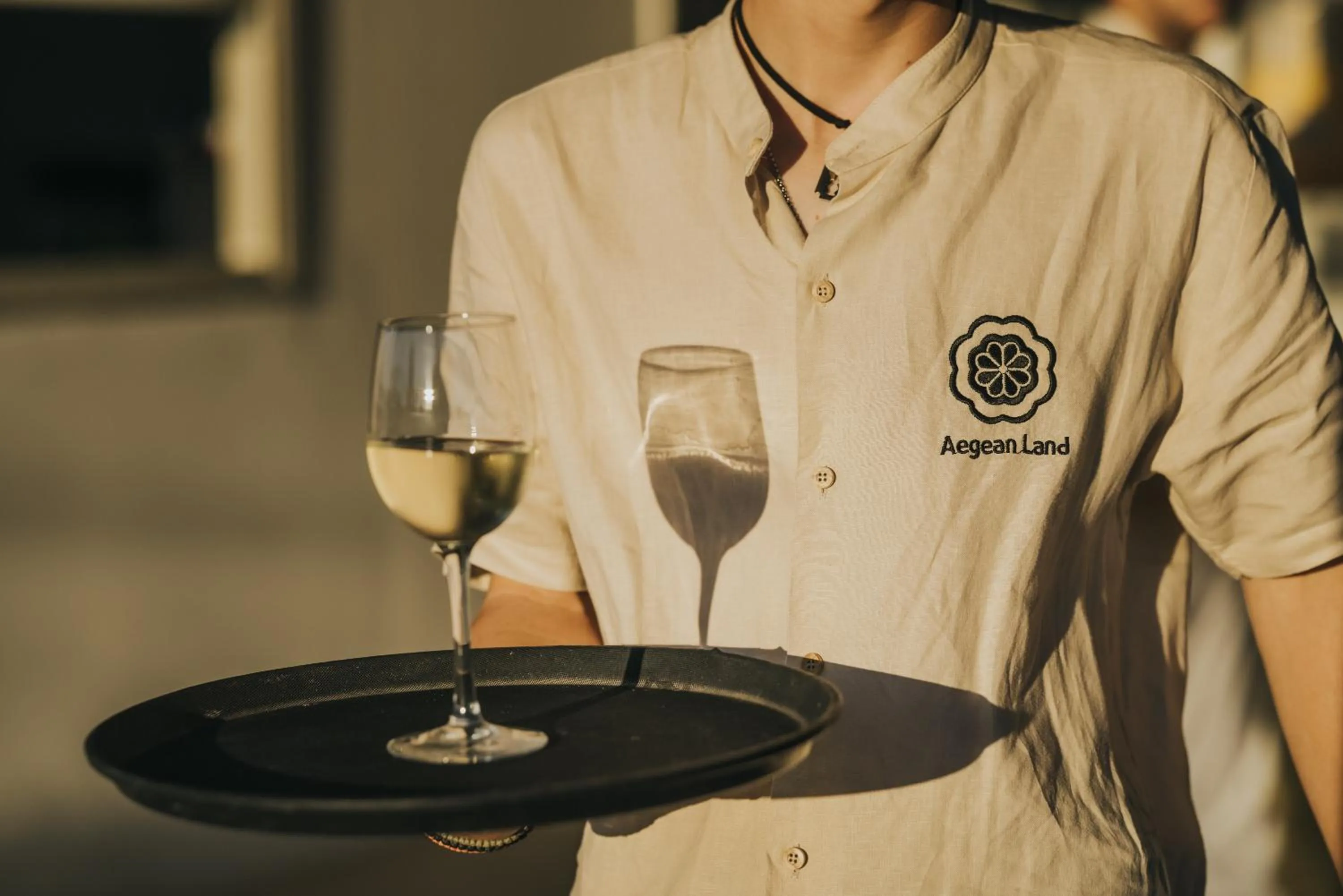 Staff in Aegean Palace