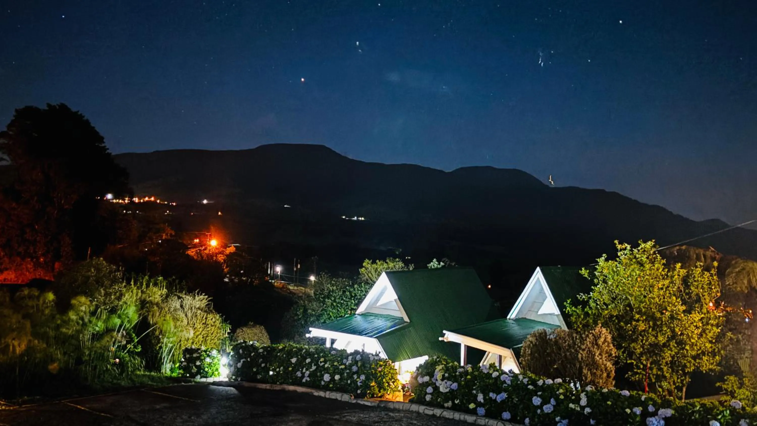 Hortensias Chalets Vara blanca