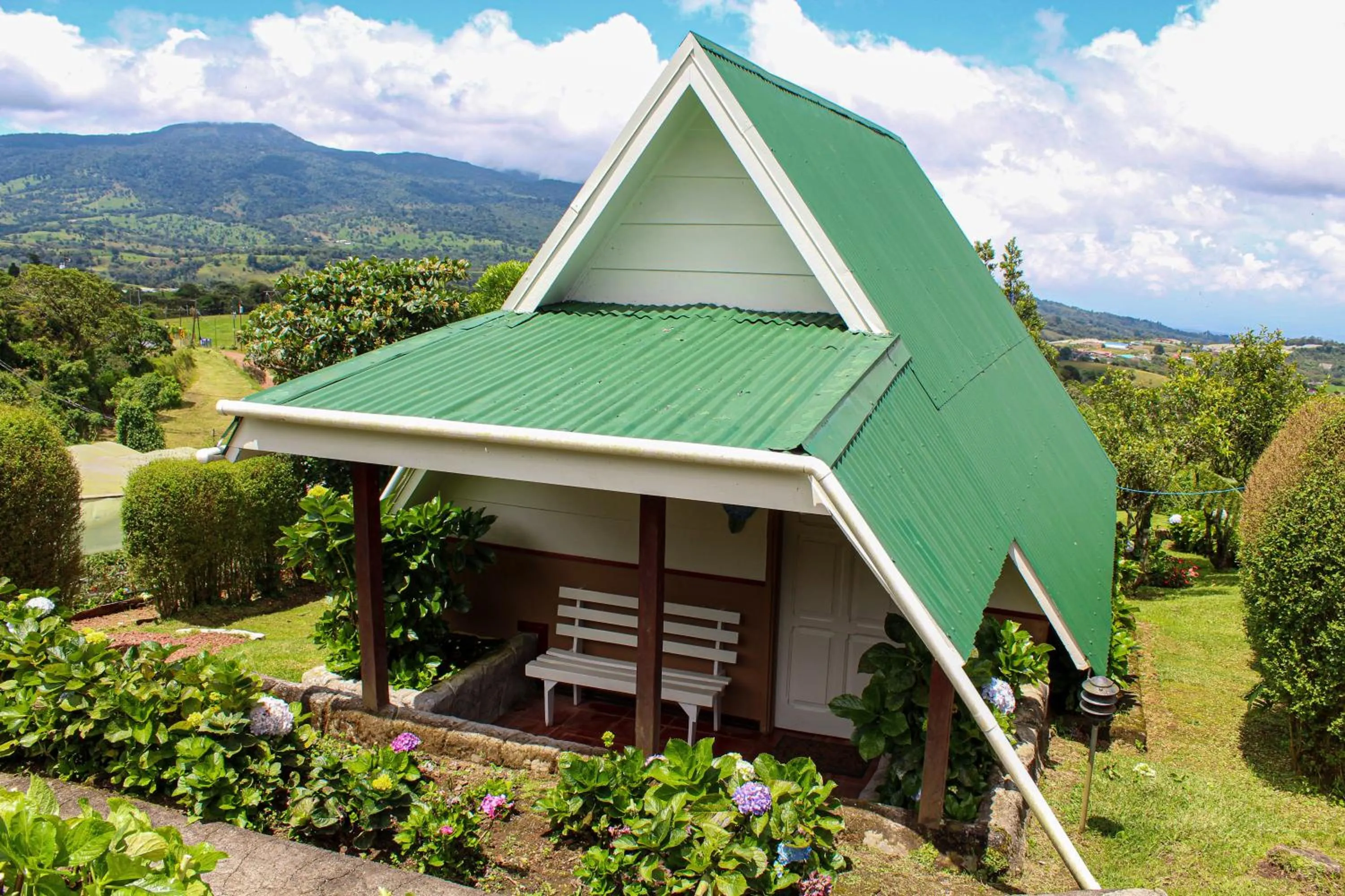 Hortensias Chalets Vara blanca