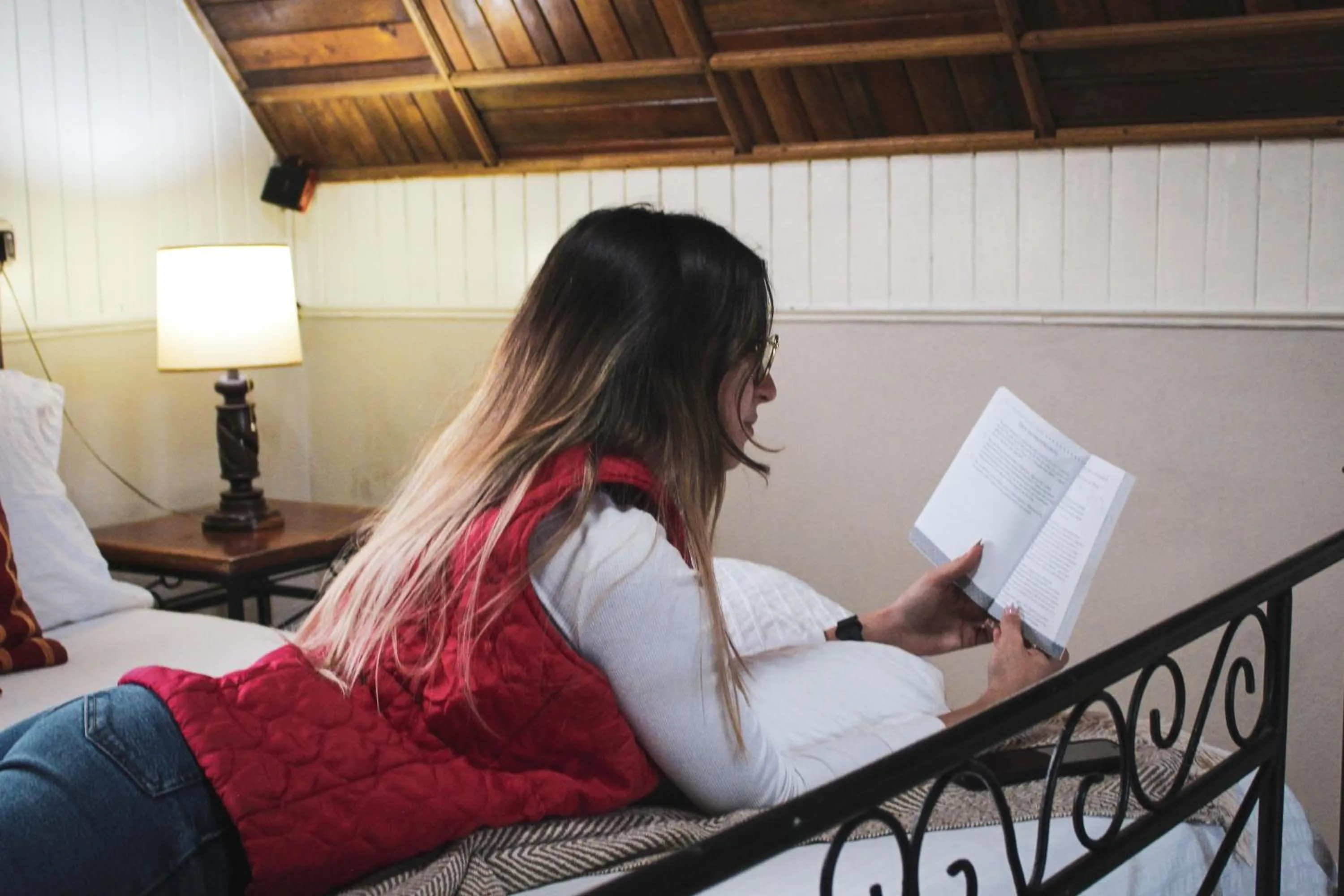 Hortensias Chalets Vara blanca