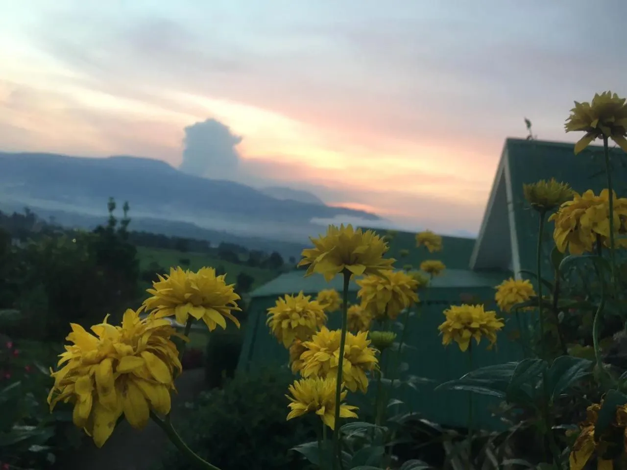 Mountain view in Hortensias Chalets Vara blanca