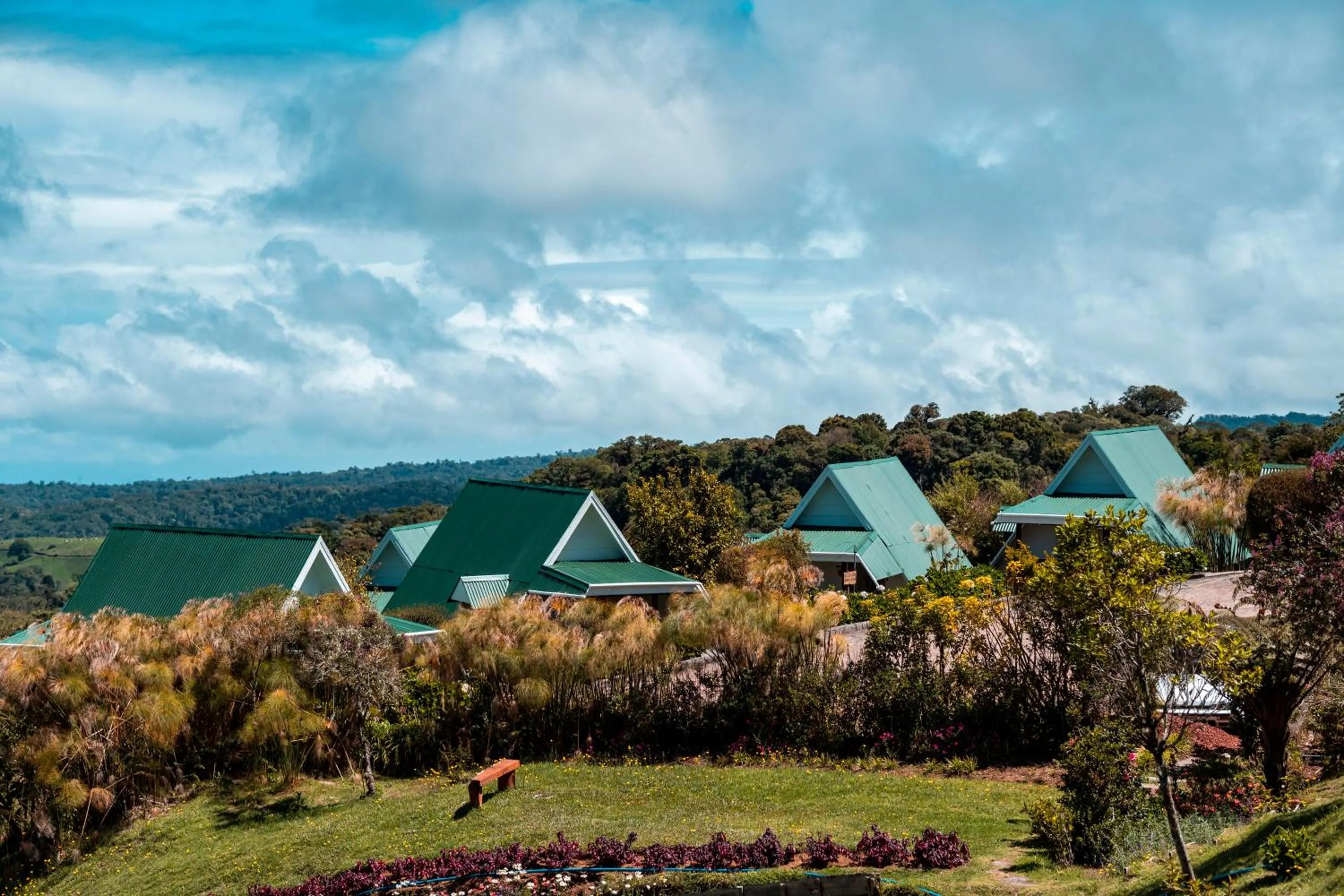 Hortensias Chalets Vara blanca