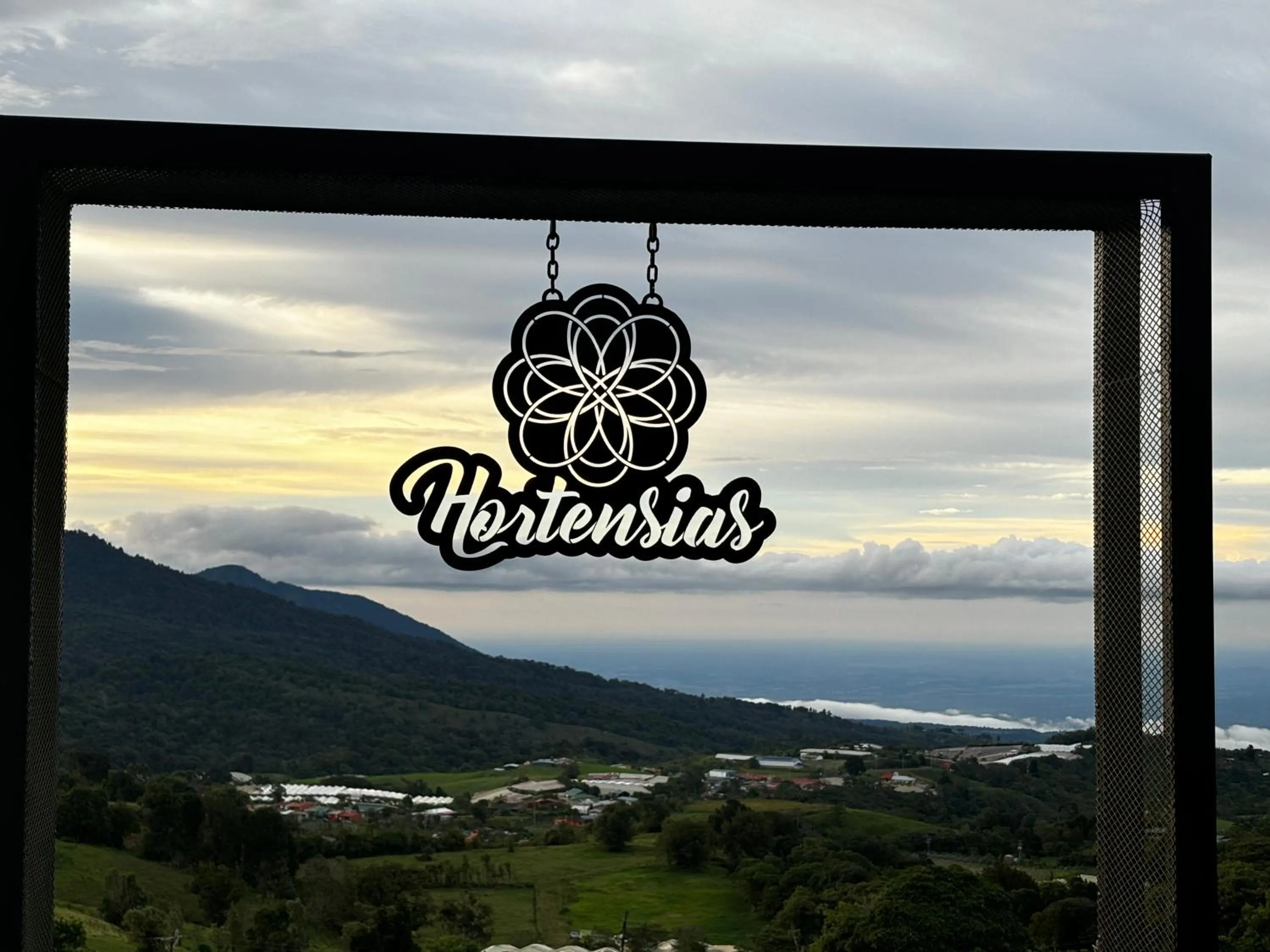 Hortensias Chalets Vara blanca