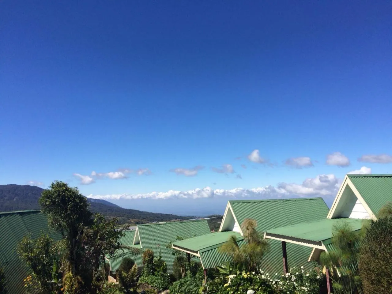 Hortensias Chalets Vara blanca