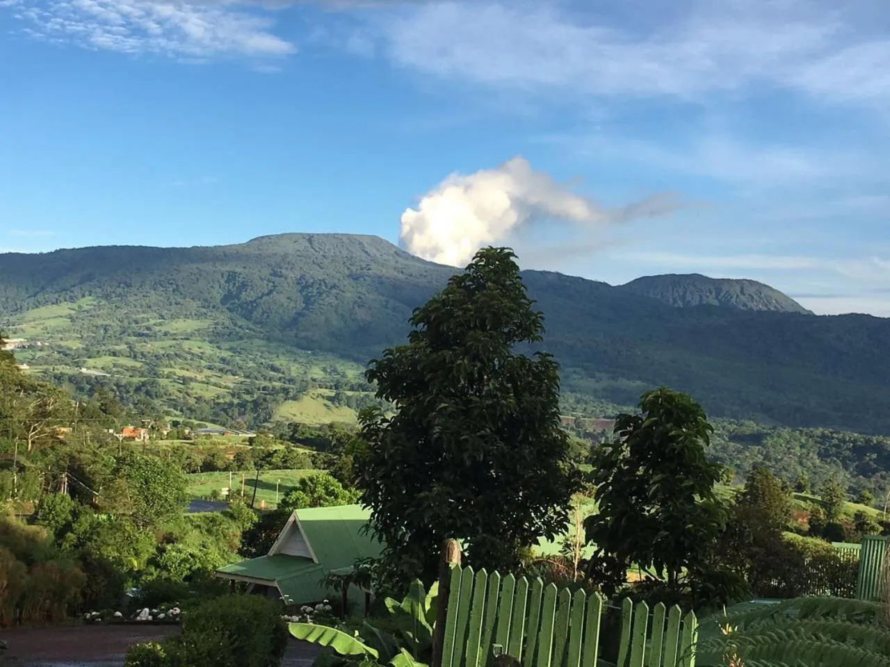 Hortensias Chalets Vara blanca