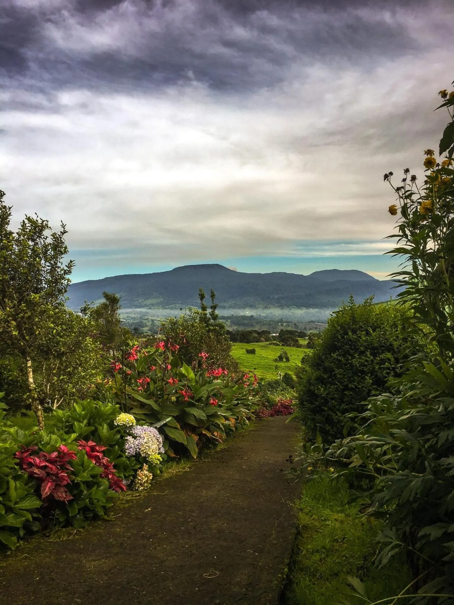 Mountain view in Hortensias Chalets Vara blanca