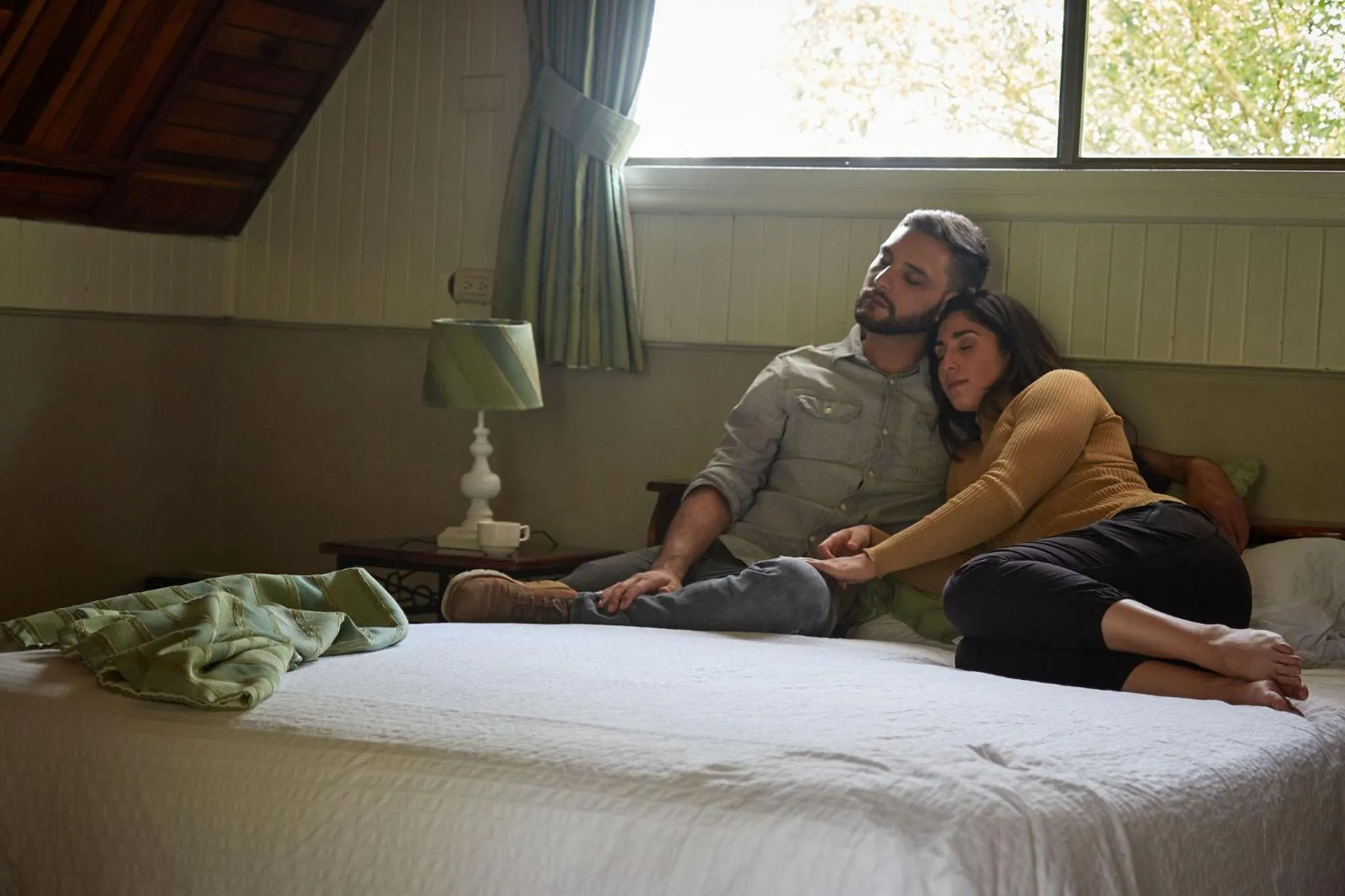 Hortensias Chalets Vara blanca