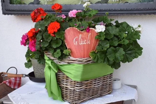 Balcony/Terrace in Hotel Sonnhof