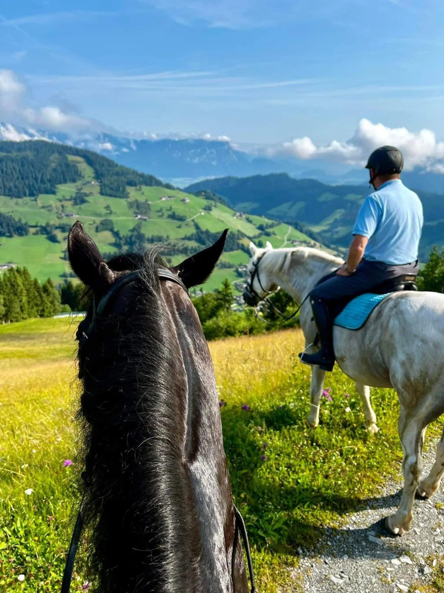 Natural landscape in Hotel Der Wastlhof - direkt an der Skipiste Wellness & Spa