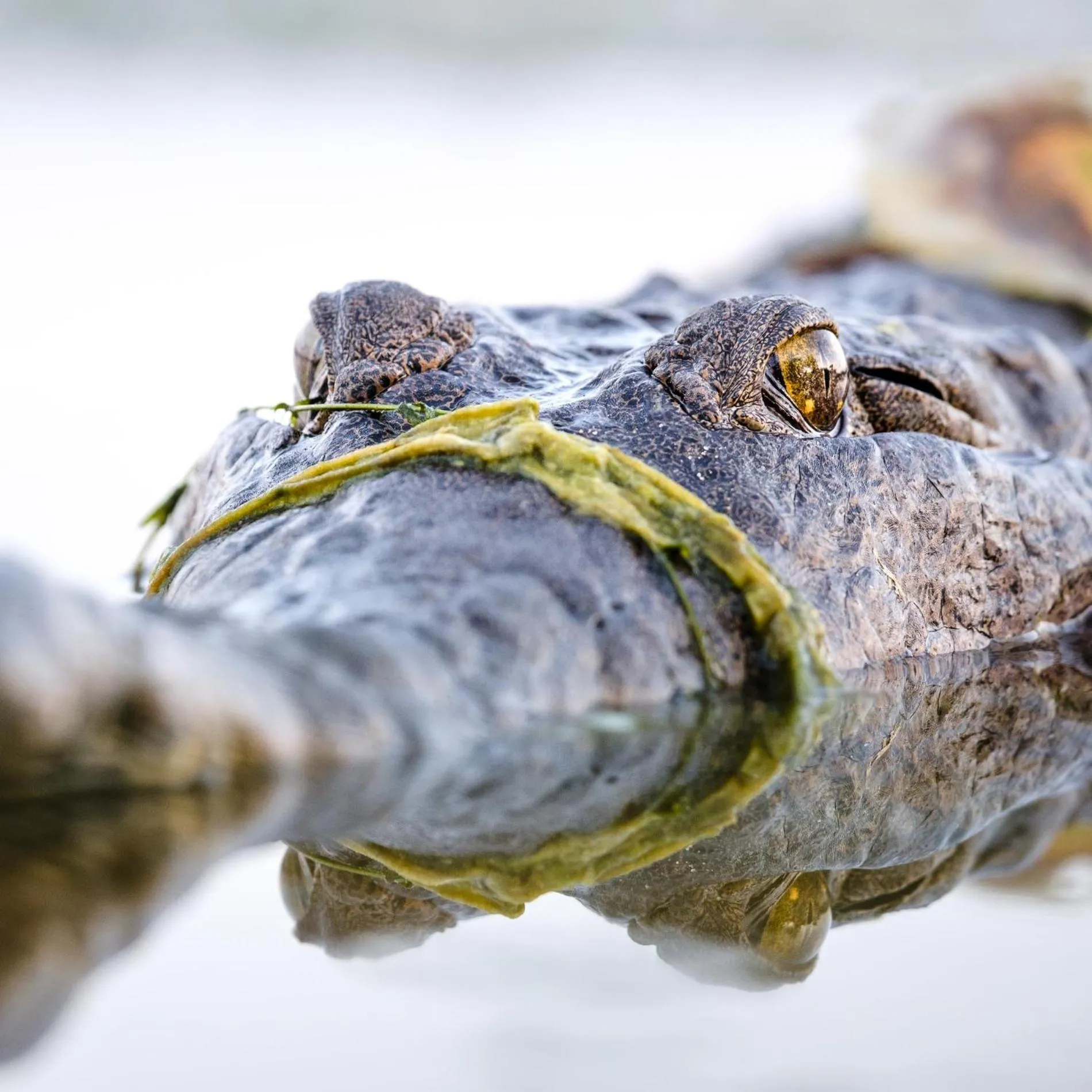 View (from property/room) in Kimberleyland Waterfront Holiday Park