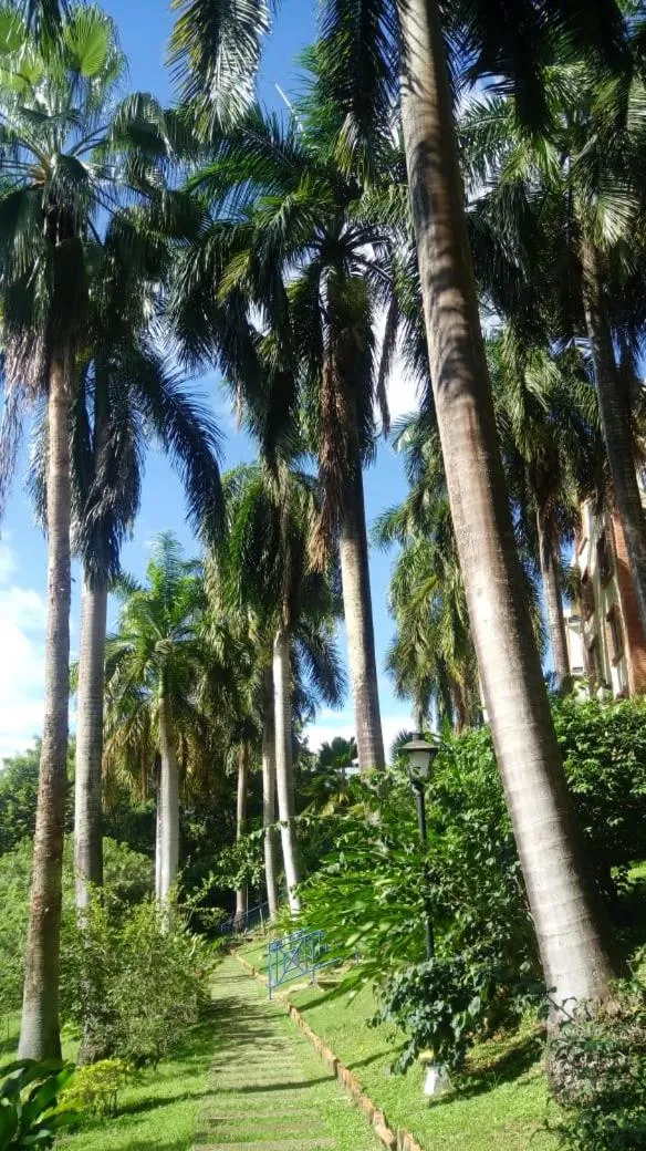 Garden in Condominio Girardot Resort