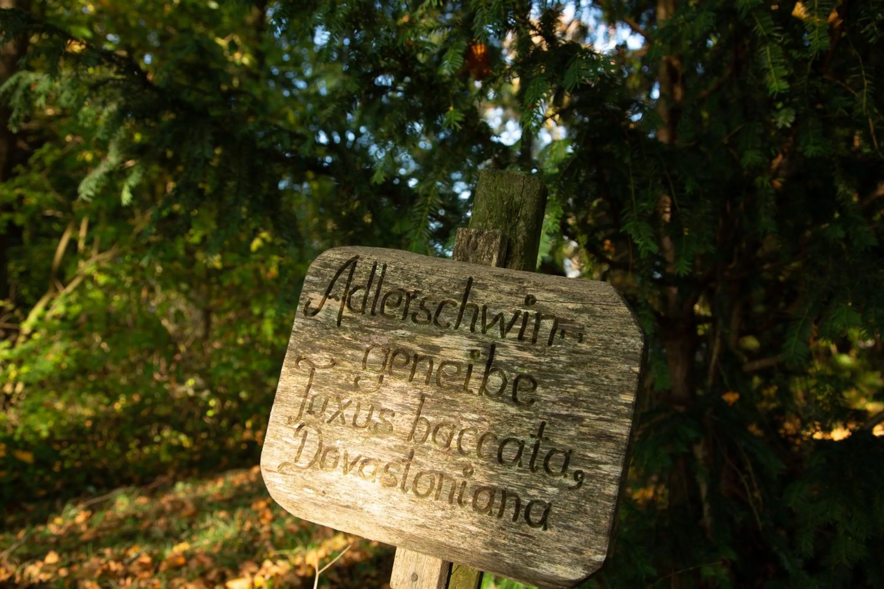 Garden in Bergers Airporthotel Memmingen