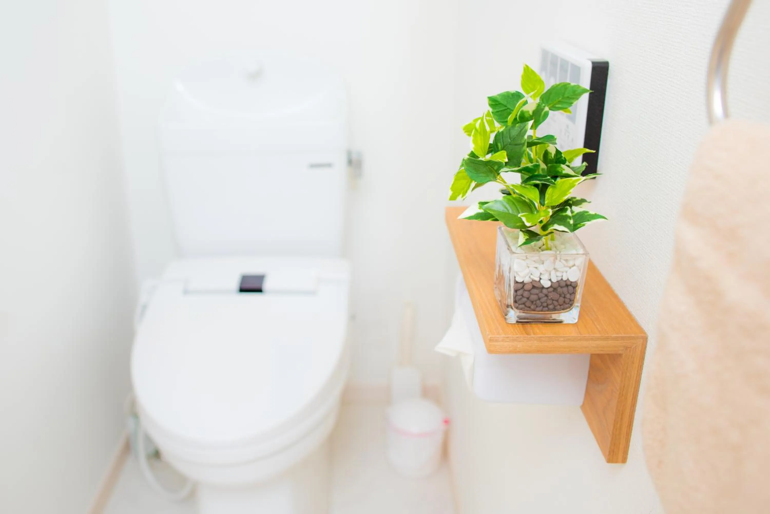 Toilet in Kourijima L'hotels