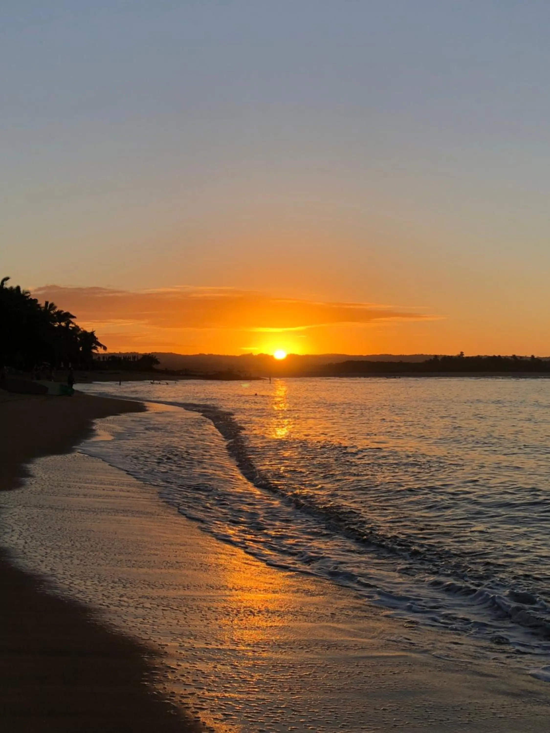 Natural landscape in Pousada Bambu