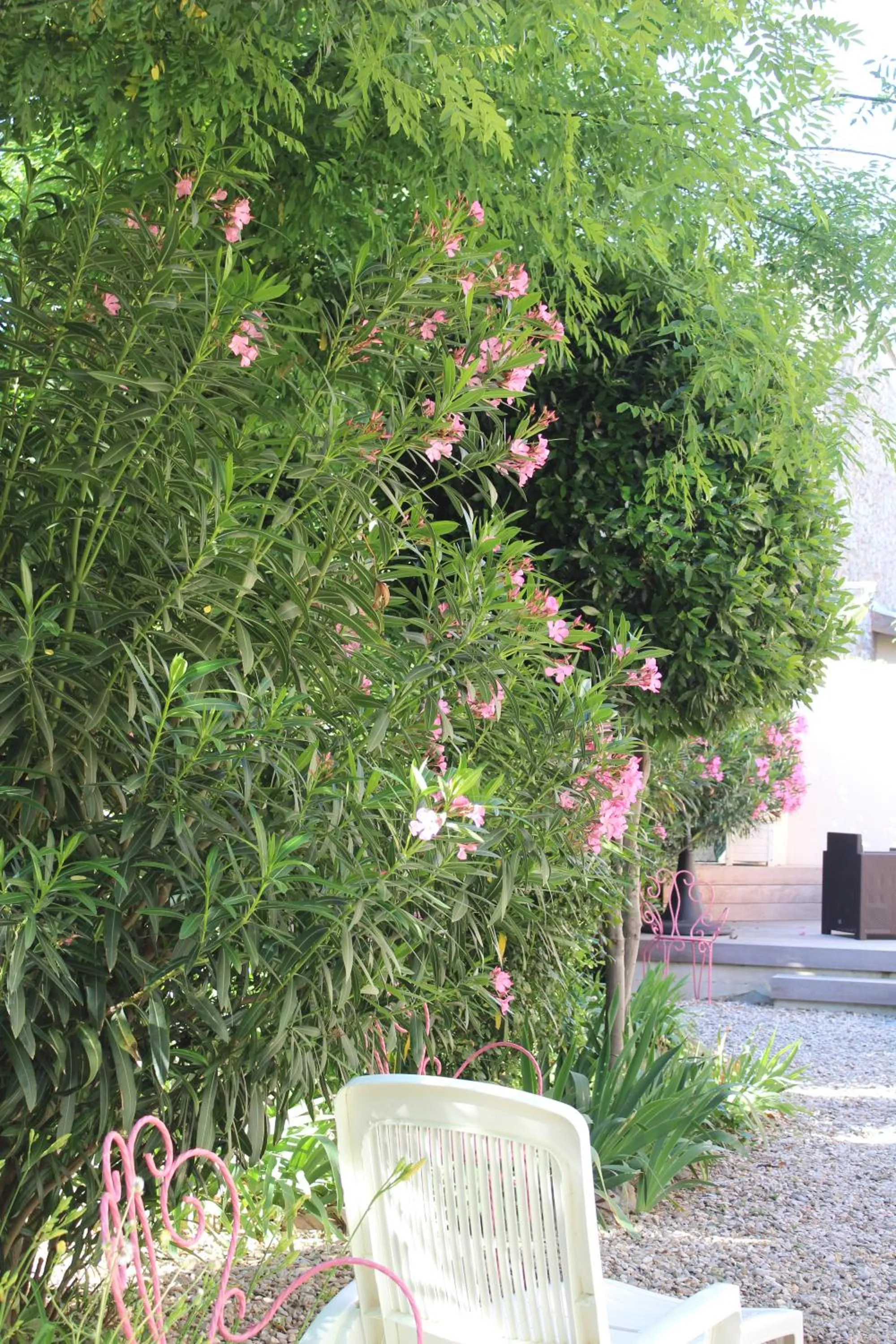 Property building in Hotel restaurant MARTINEZ