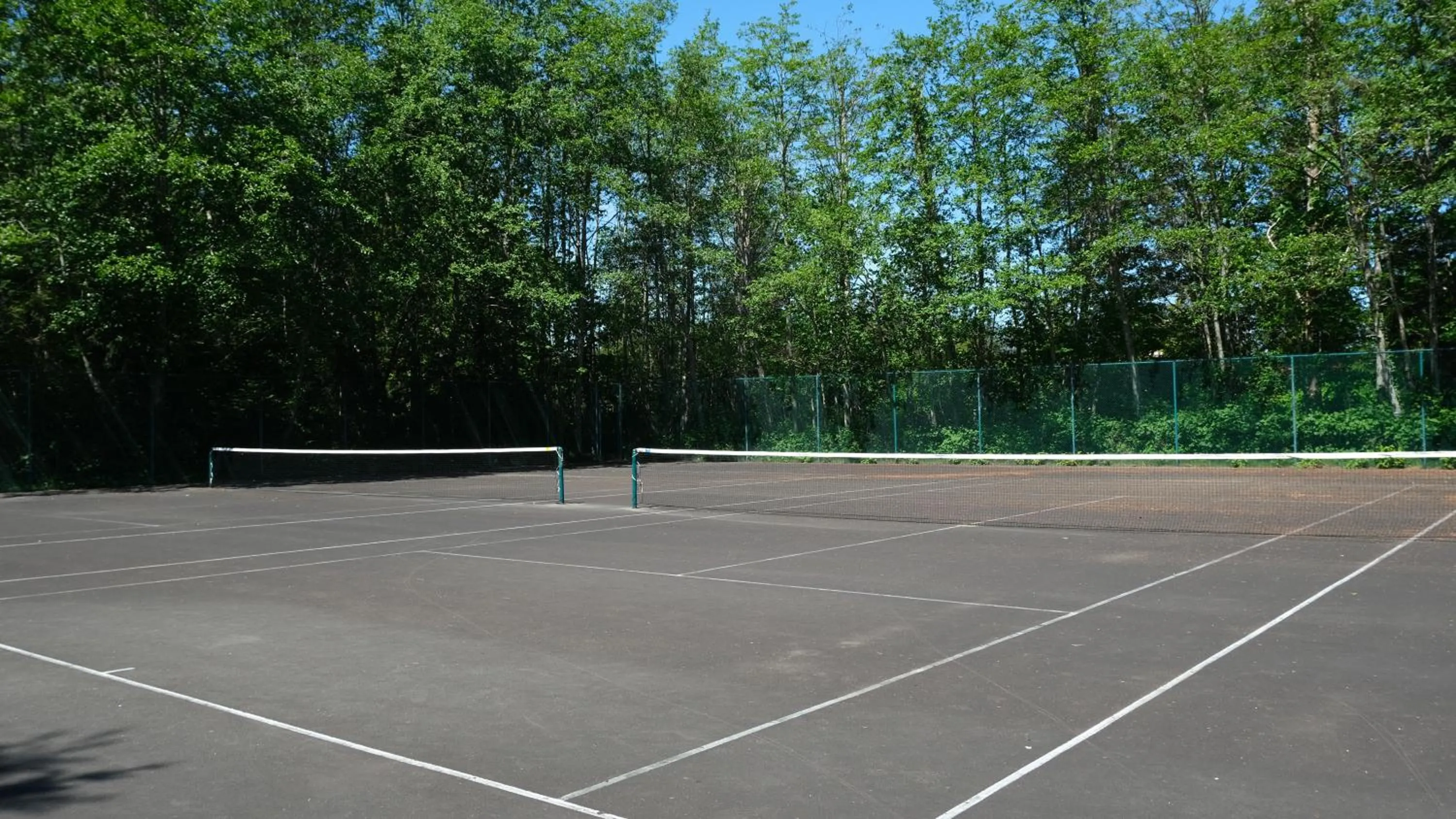 Day in Painter's Lodge, Trademark Collection by Wyndham