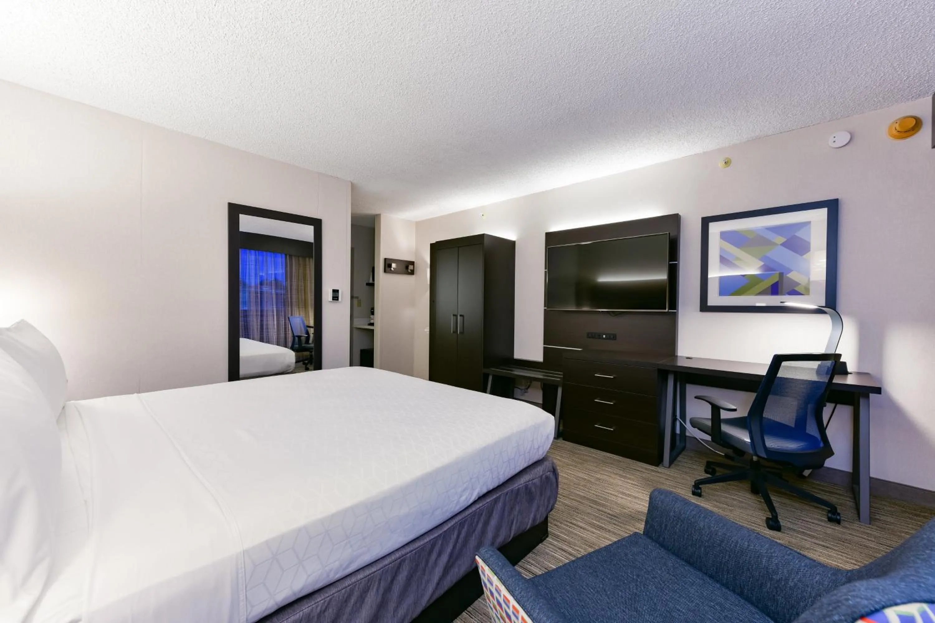Photo of the whole room, Bed in Holiday Inn Express Mill Valley San Francisco Area by IHG