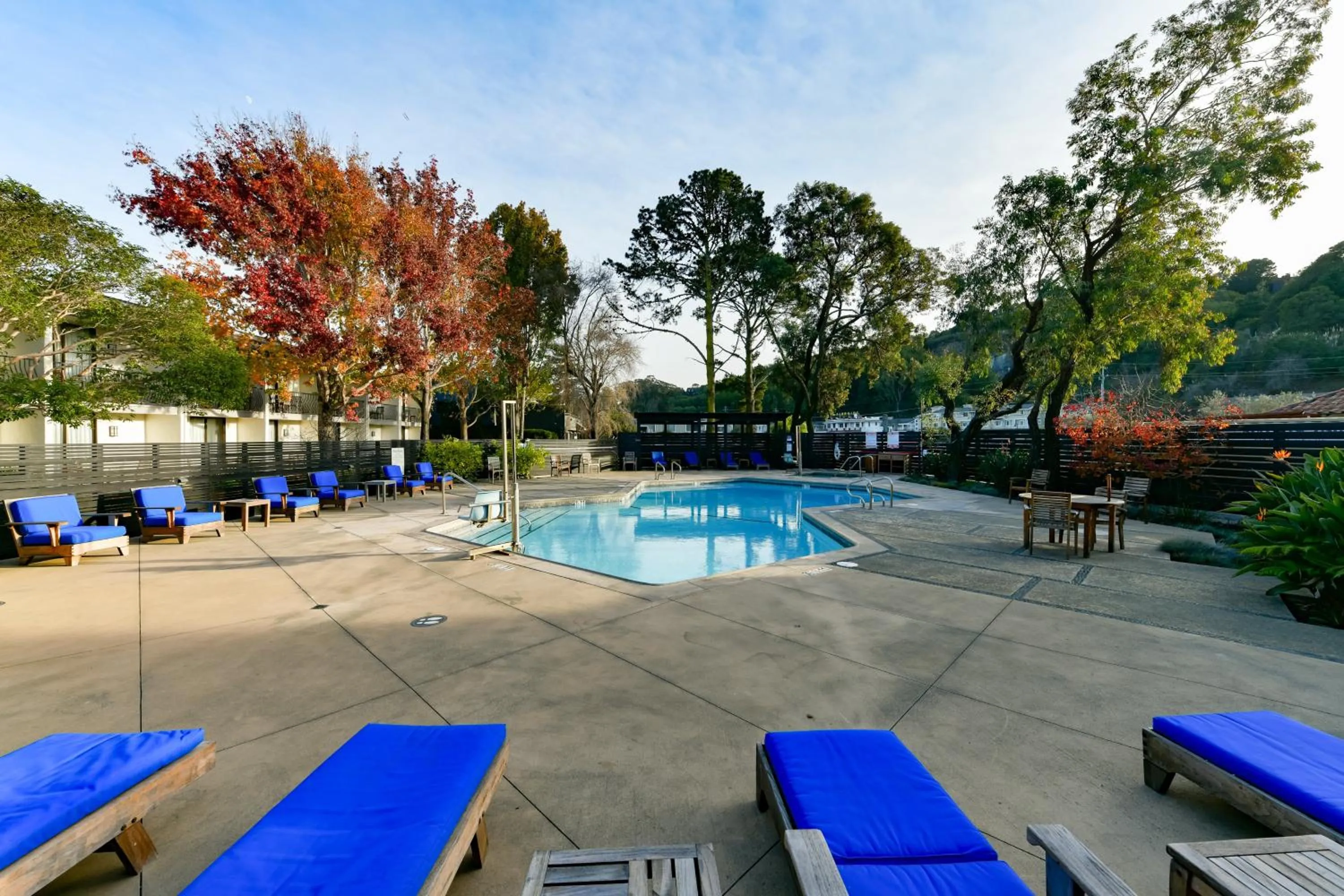 Swimming pool in Holiday Inn Express Mill Valley San Francisco Area by IHG