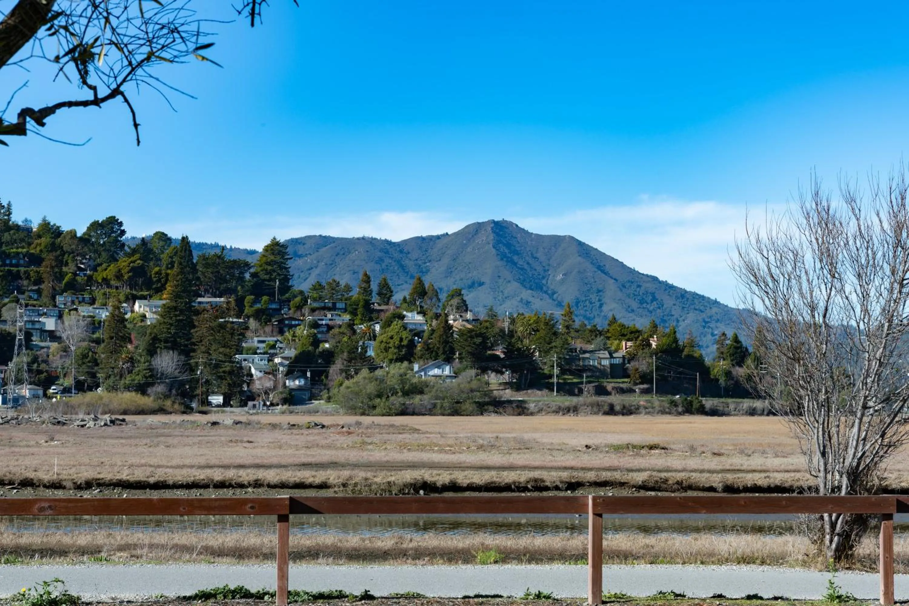 Property building in Holiday Inn Express Mill Valley San Francisco Area by IHG