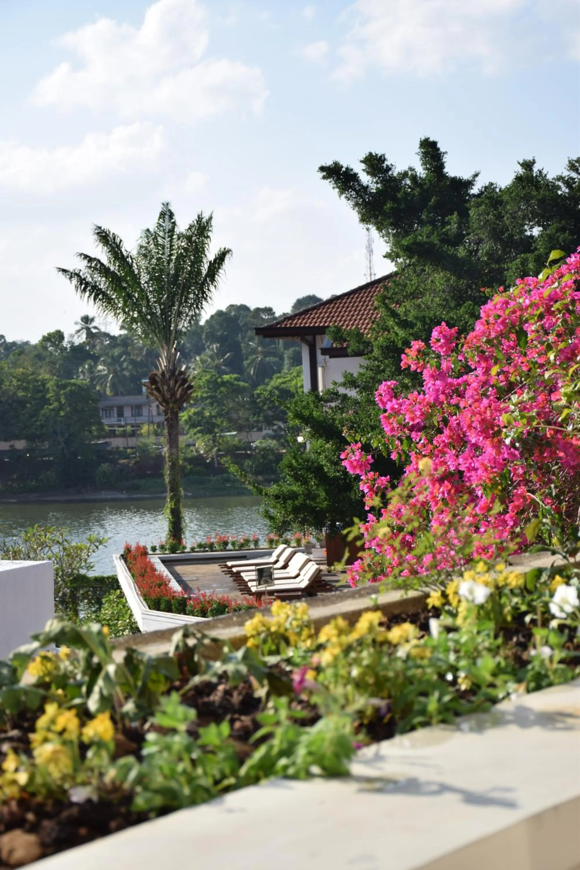 sunbed in Mahaweli Reach Hotel