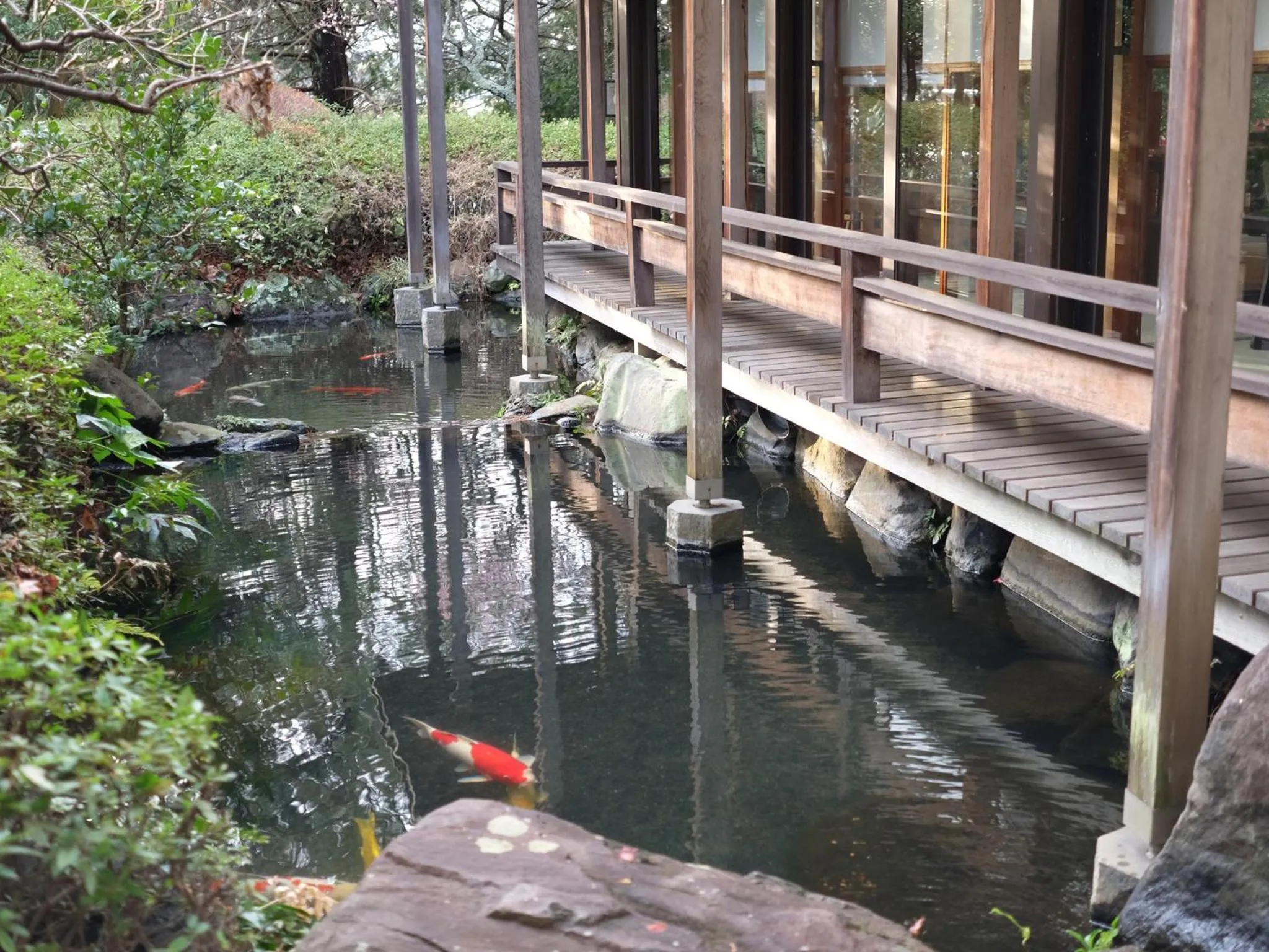 Garden in Izu Daisenya