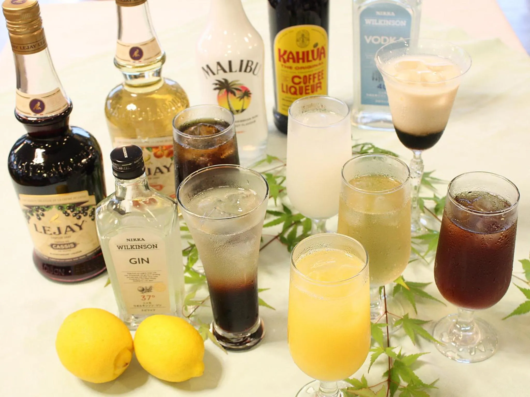 Food and drinks in Hotel Kirishima Castle