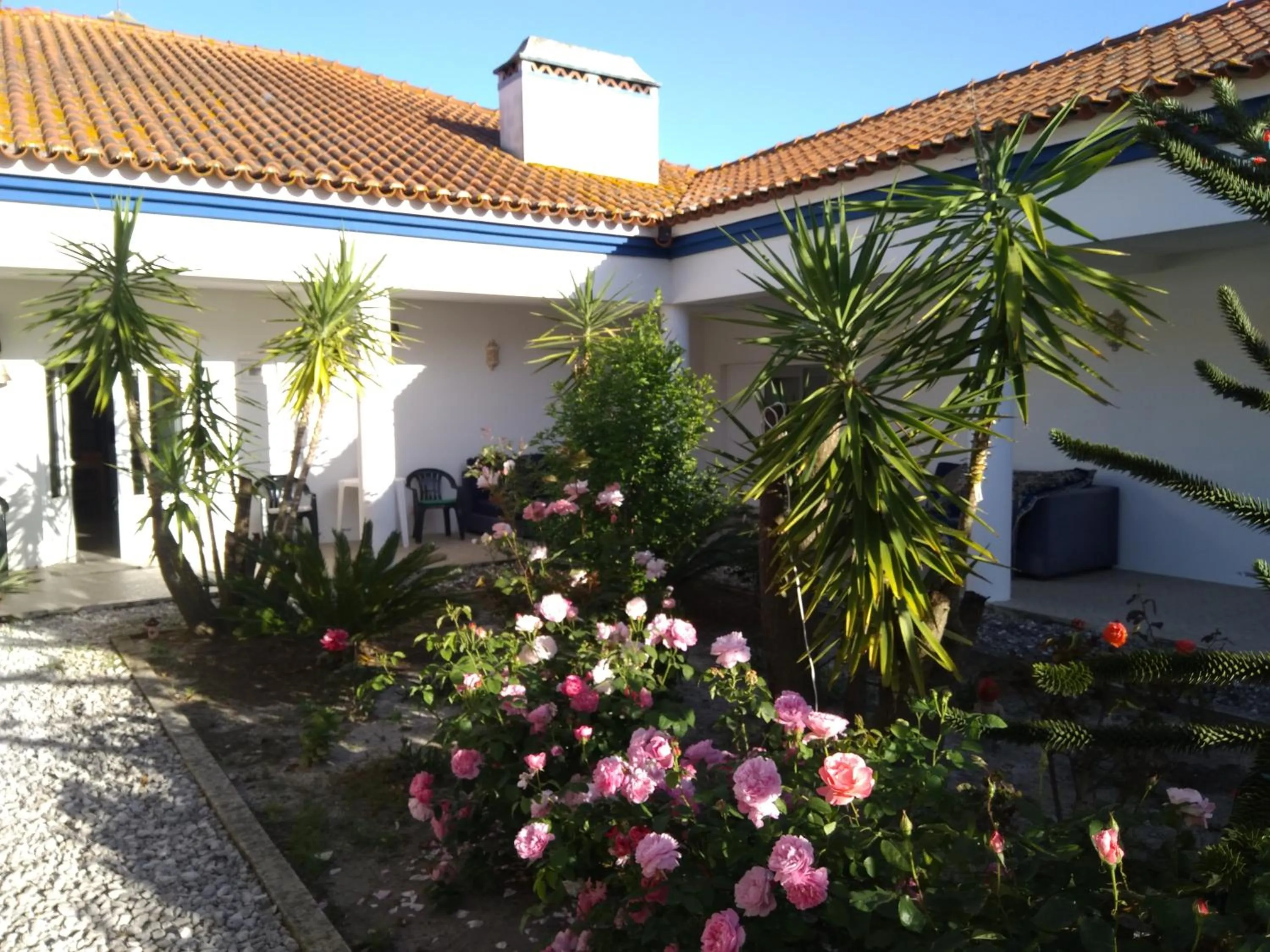 Garden view in Casa Zanzibar Hotel