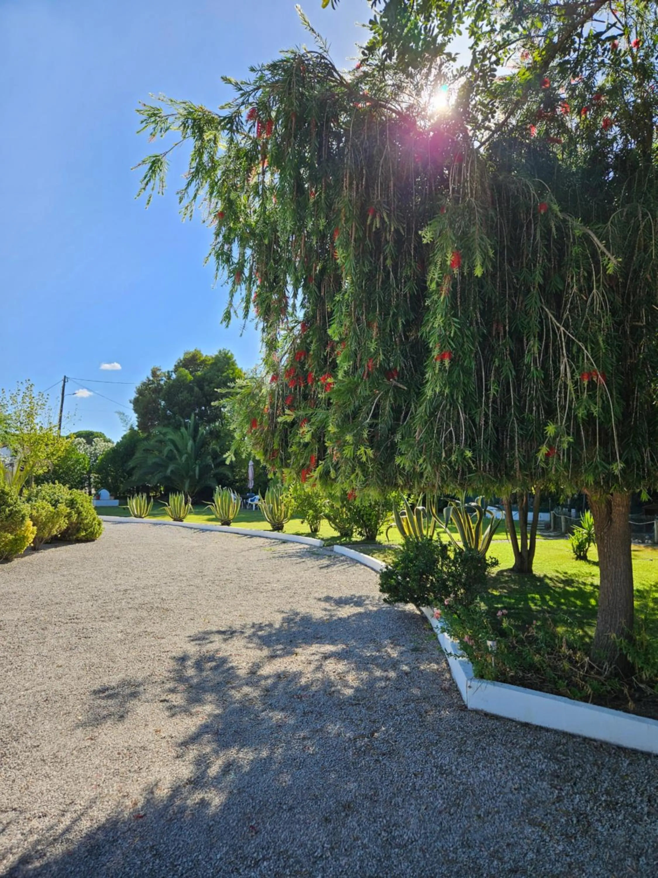 Garden in Casa Zanzibar Hotel